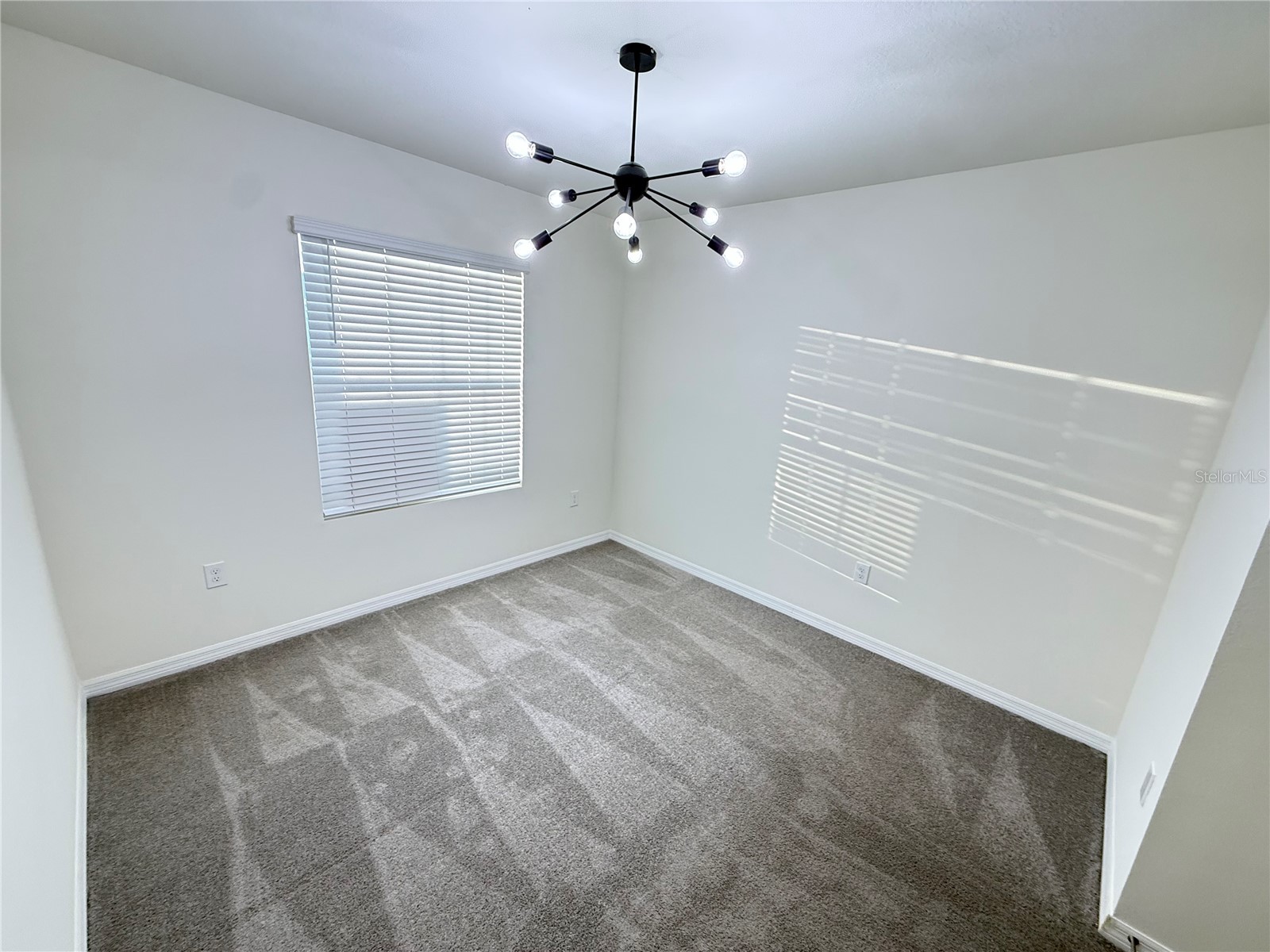 32507 Turtle Grace Loop Wesley Chapel FL 33545 S5141985 image34