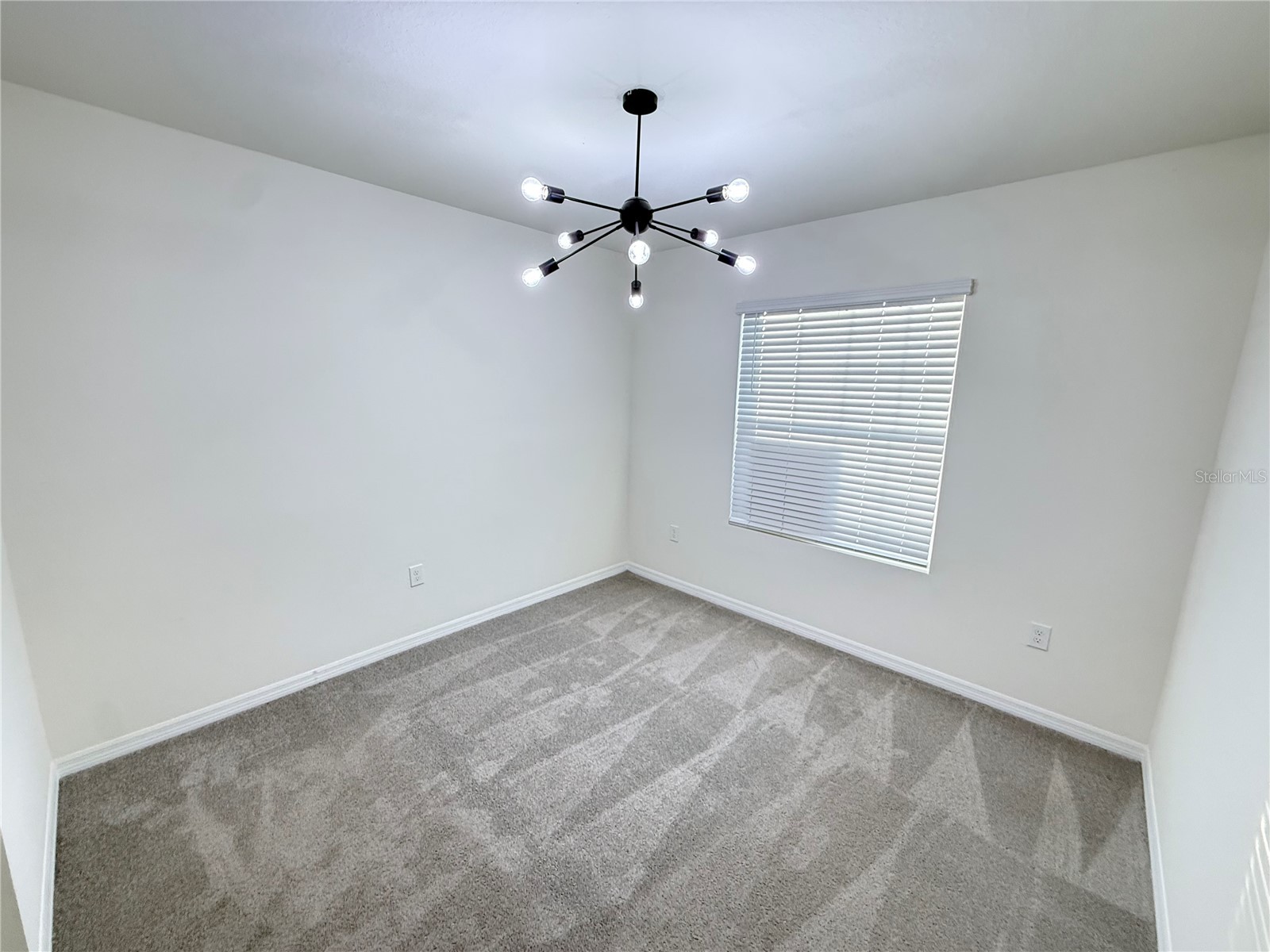 32507 Turtle Grace Loop Wesley Chapel FL 33545 S5141985 image36