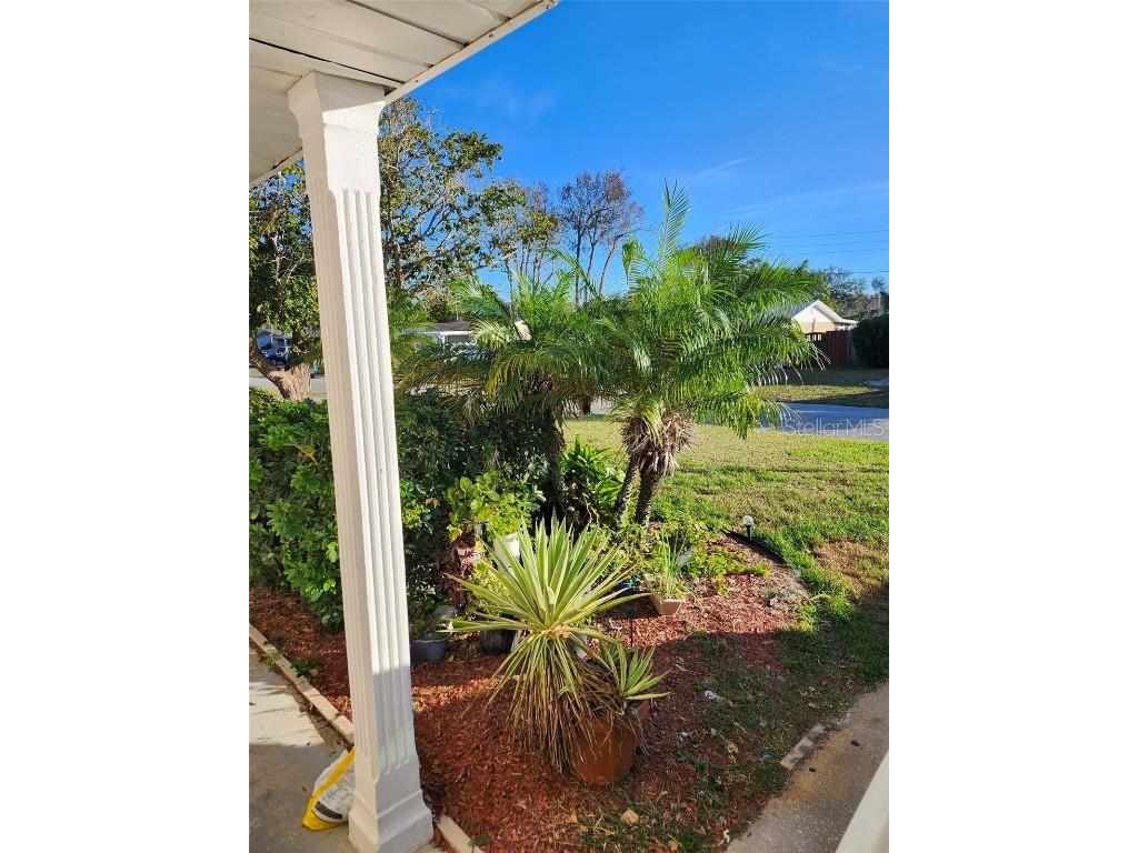 3251 Devonshire Drive Holiday FL 34691 TB8455381 image13