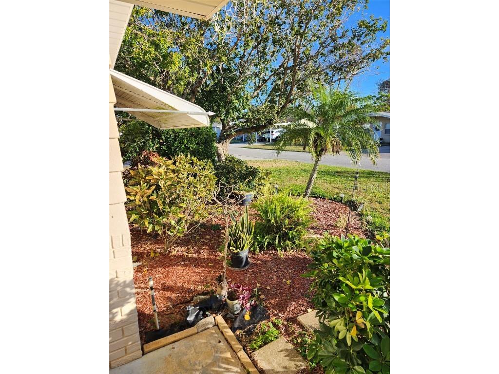 3251 Devonshire Drive Holiday FL 34691 TB8455381 image2