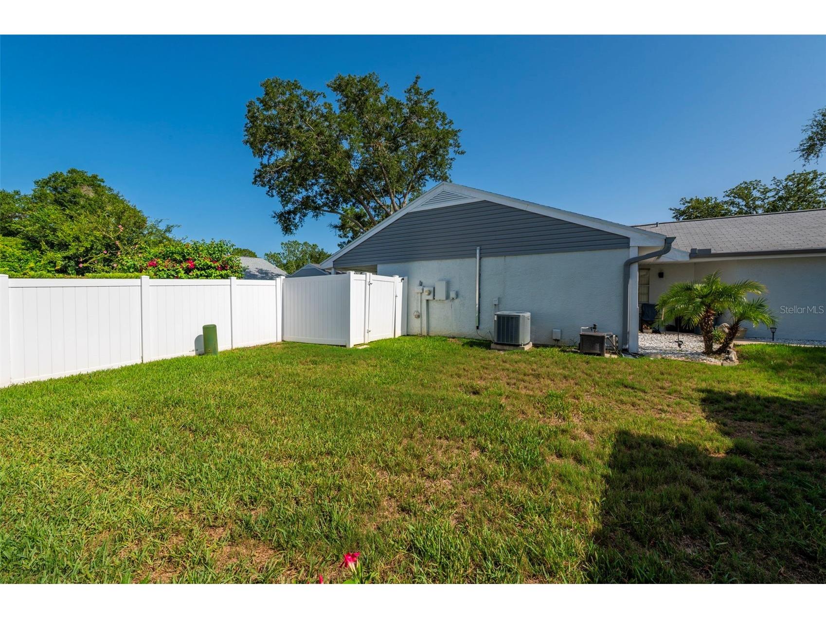 3251 Latana Drive Palm Harbor FL 34684 TB8526166 image15