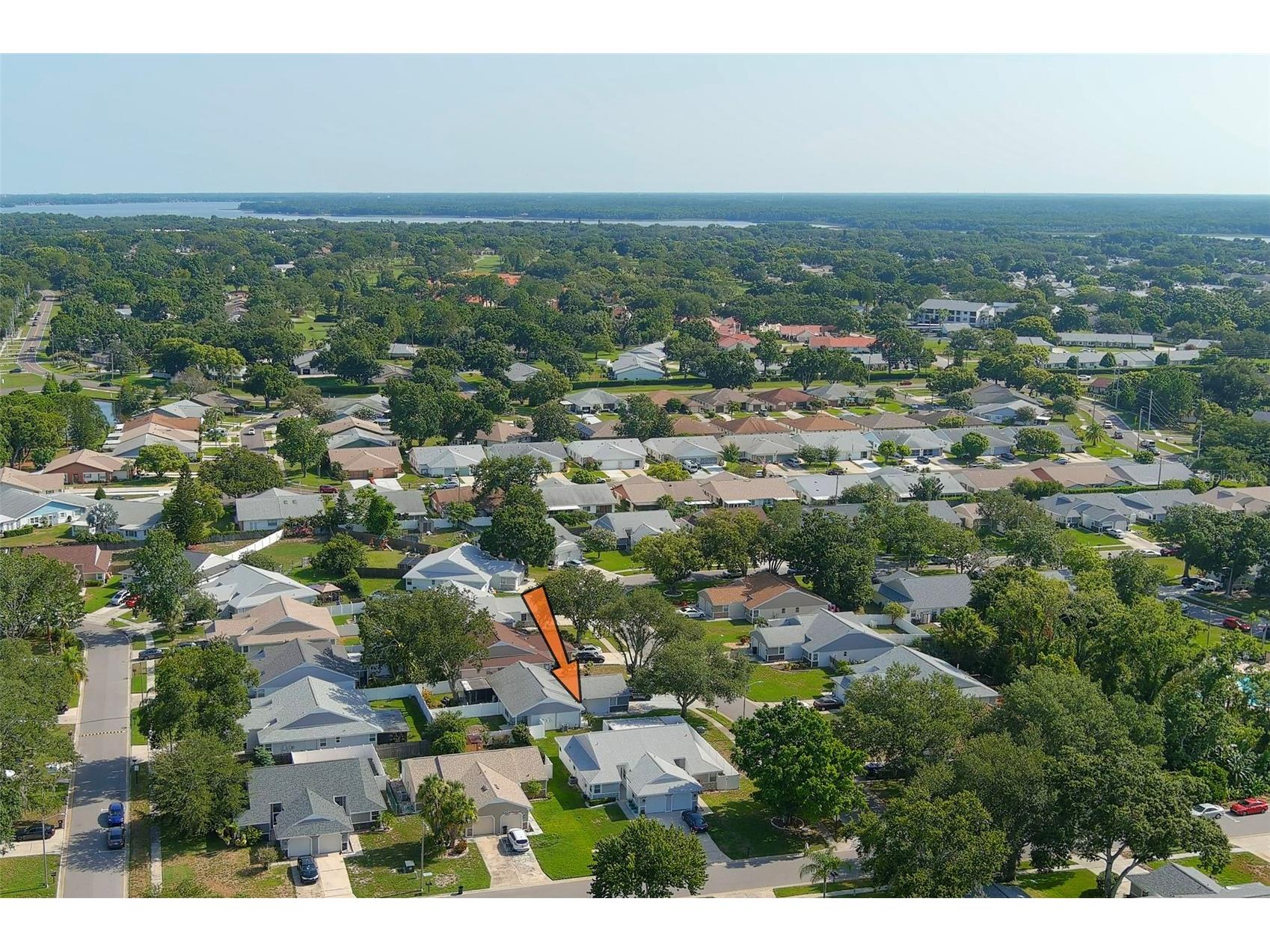3251 Latana Drive Palm Harbor FL 34684 TB8526166 image19