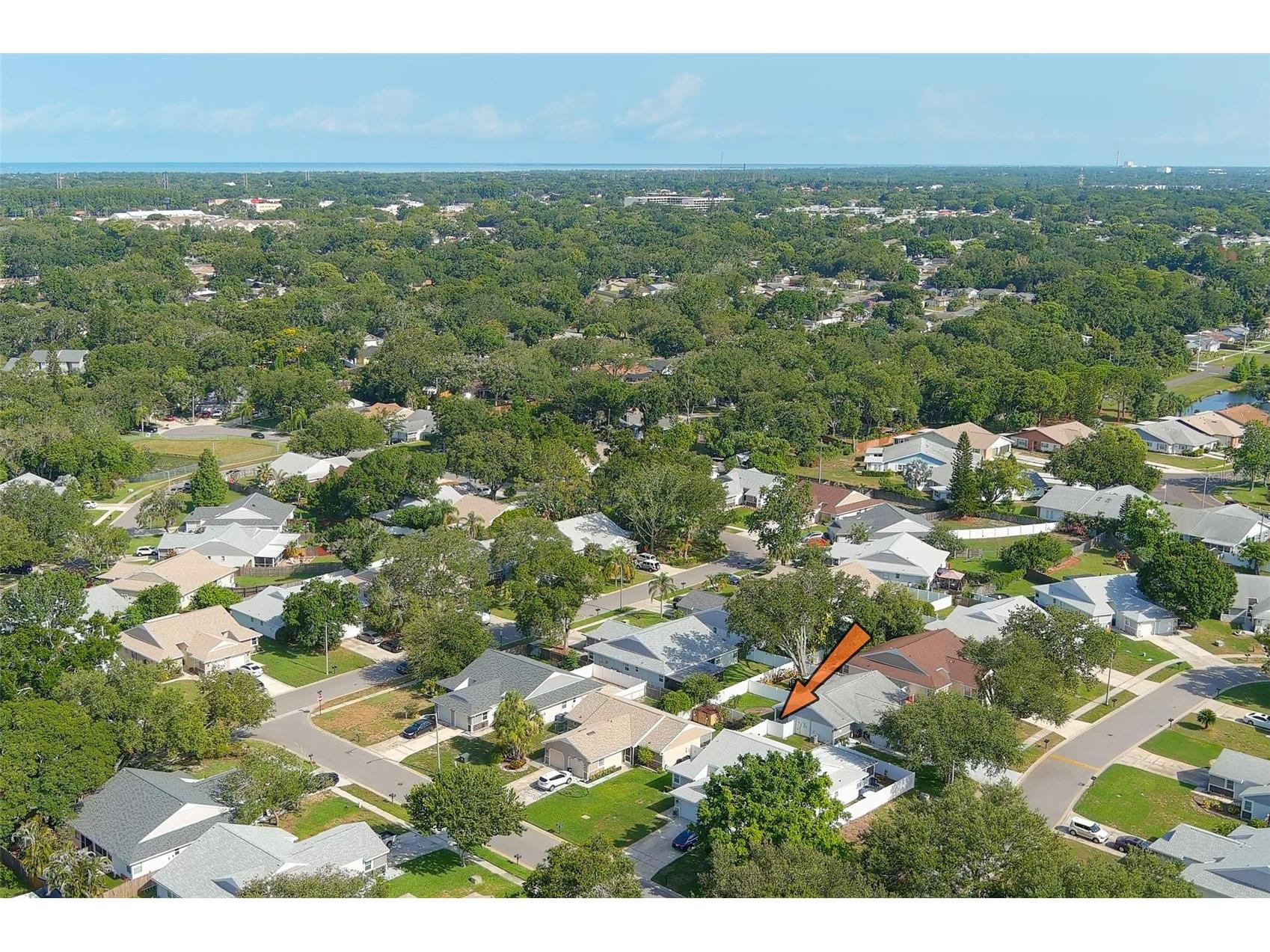 3251 Latana Drive Palm Harbor FL 34684 TB8526166 image20