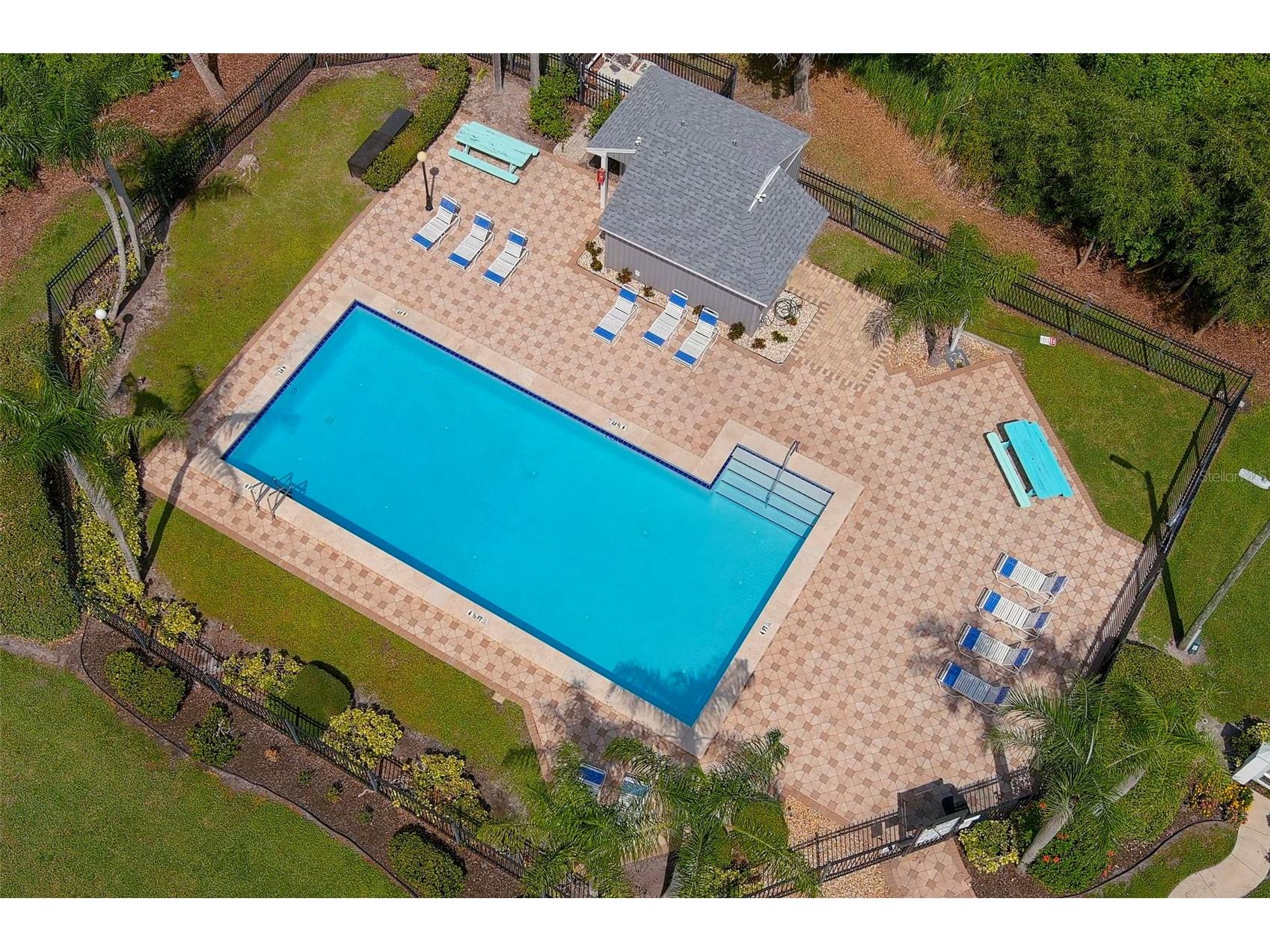 3251 Latana Drive Palm Harbor FL 34684 TB8526166 image25