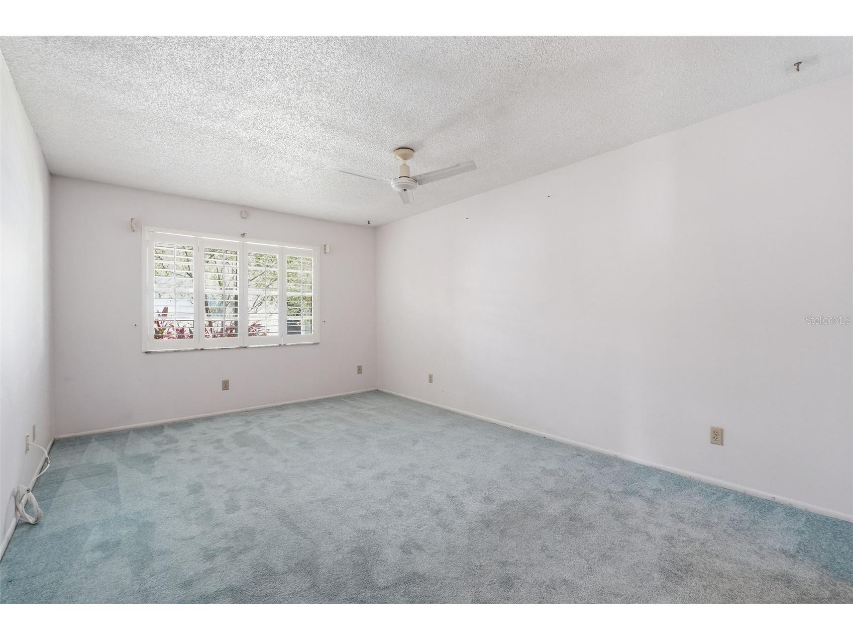 3251 Mcmath Drive Palm Harbor FL 34684 TB8512566 image13