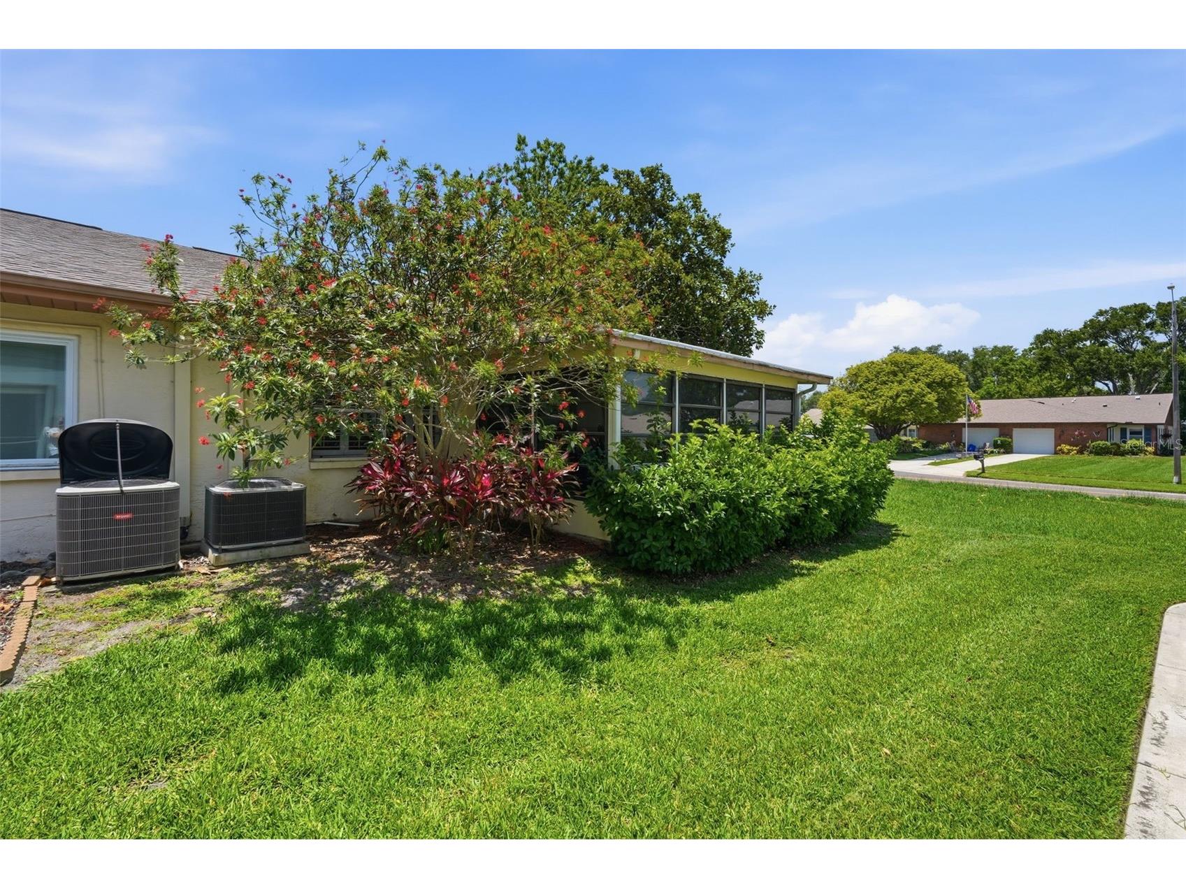 3251 Mcmath Drive Palm Harbor FL 34684 TB8512566 image25
