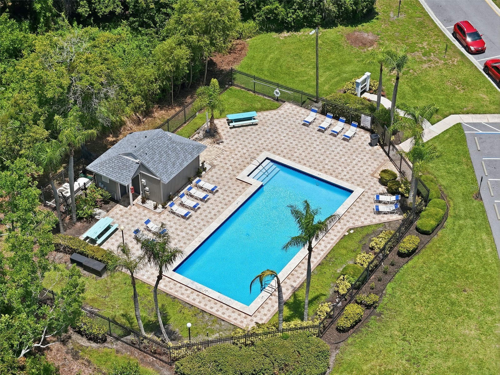 3251 Mcmath Drive Palm Harbor FL 34684 TB8512566 image26