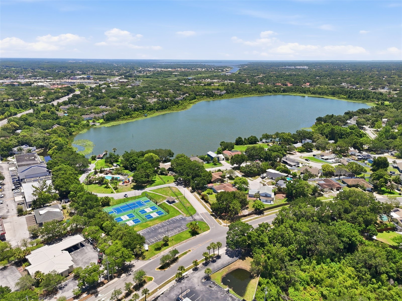 3251 Mcmath Drive Palm Harbor FL 34684 TB8512566 image28