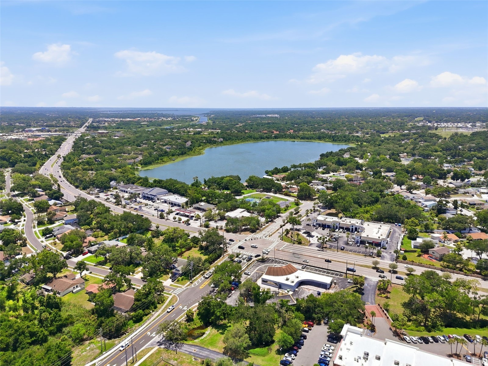 3251 Mcmath Drive Palm Harbor FL 34684 TB8512566 image29