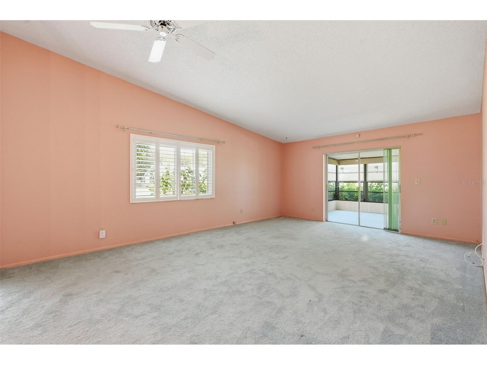 3251 Mcmath Drive Palm Harbor FL 34684 TB8512566 image7