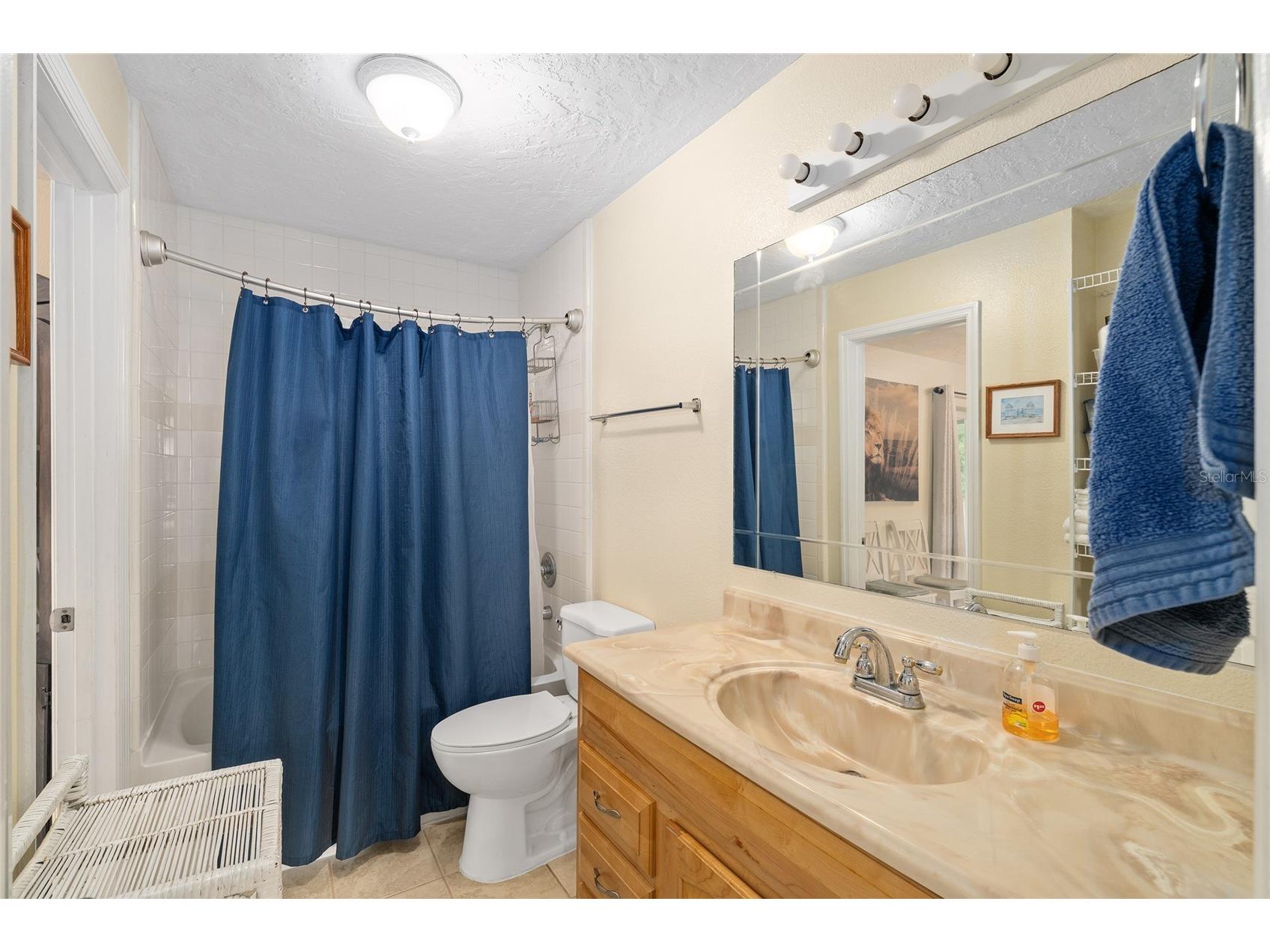 3251 SE 143rd Place Summerfield FL 34491 OM716497 image25