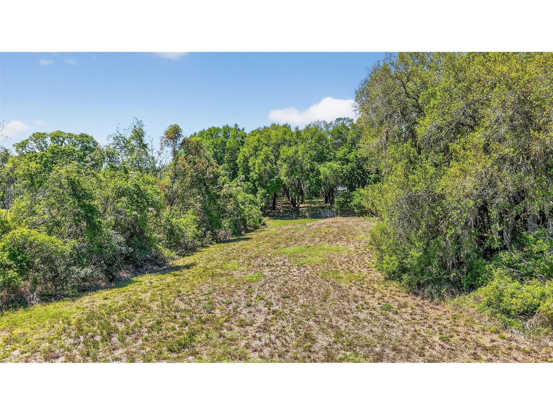32510 Whitney Road Leesburg FL 34748 - LAKE ROBINSON G5109672 image10