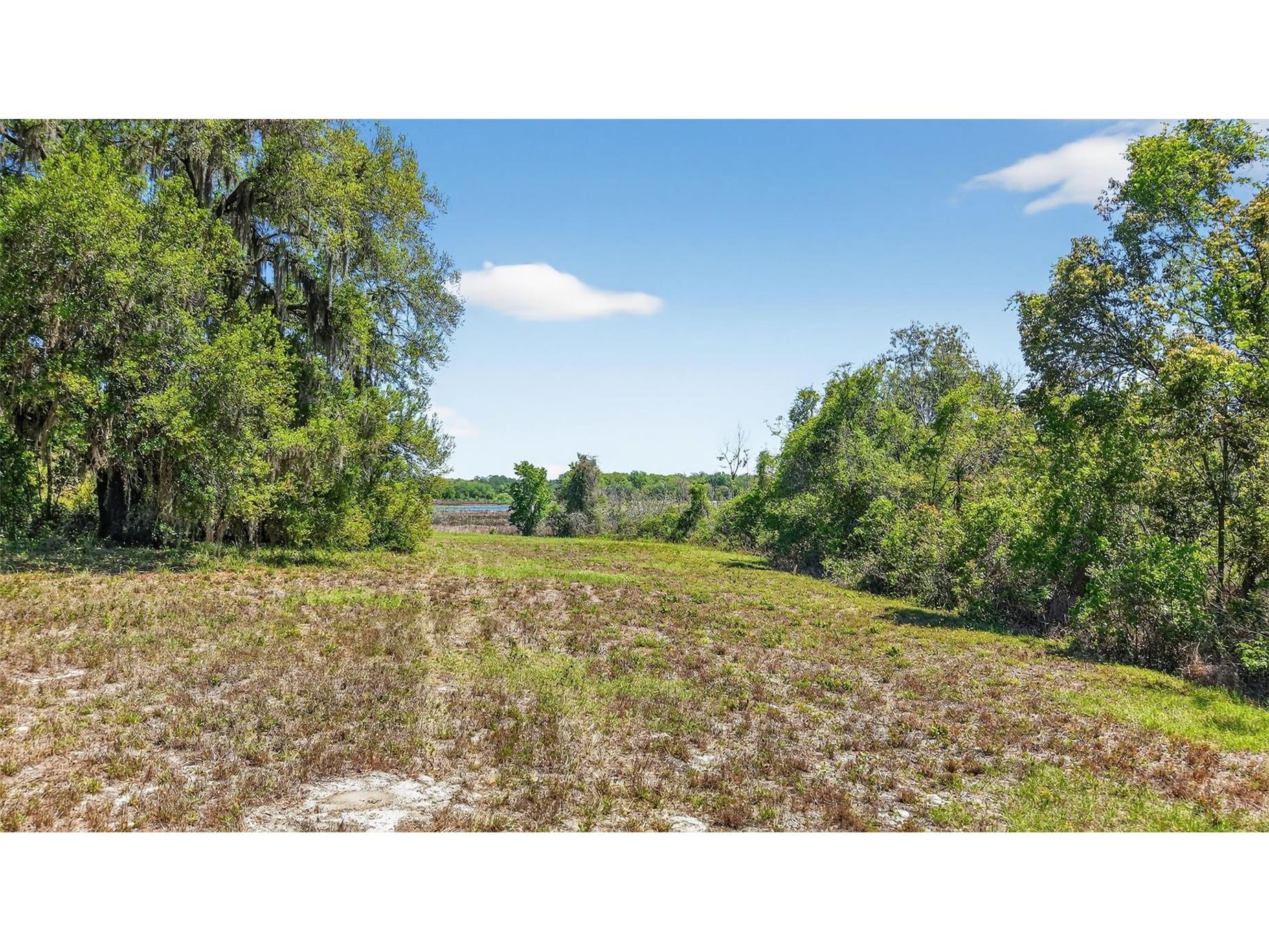32510 Whitney Road Leesburg FL 34748 - LAKE ROBINSON G5109672 image11