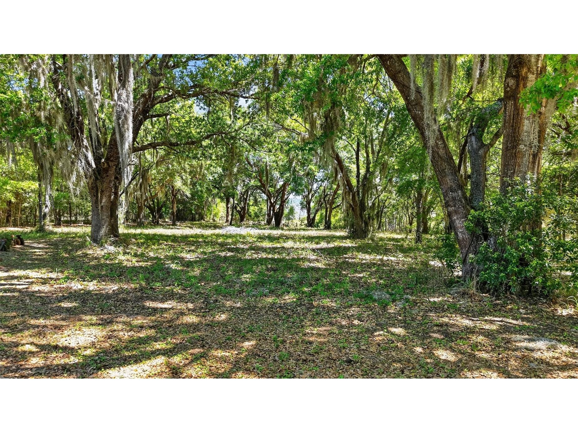 32510 Whitney Road Leesburg FL 34748 - LAKE ROBINSON G5109672 image12