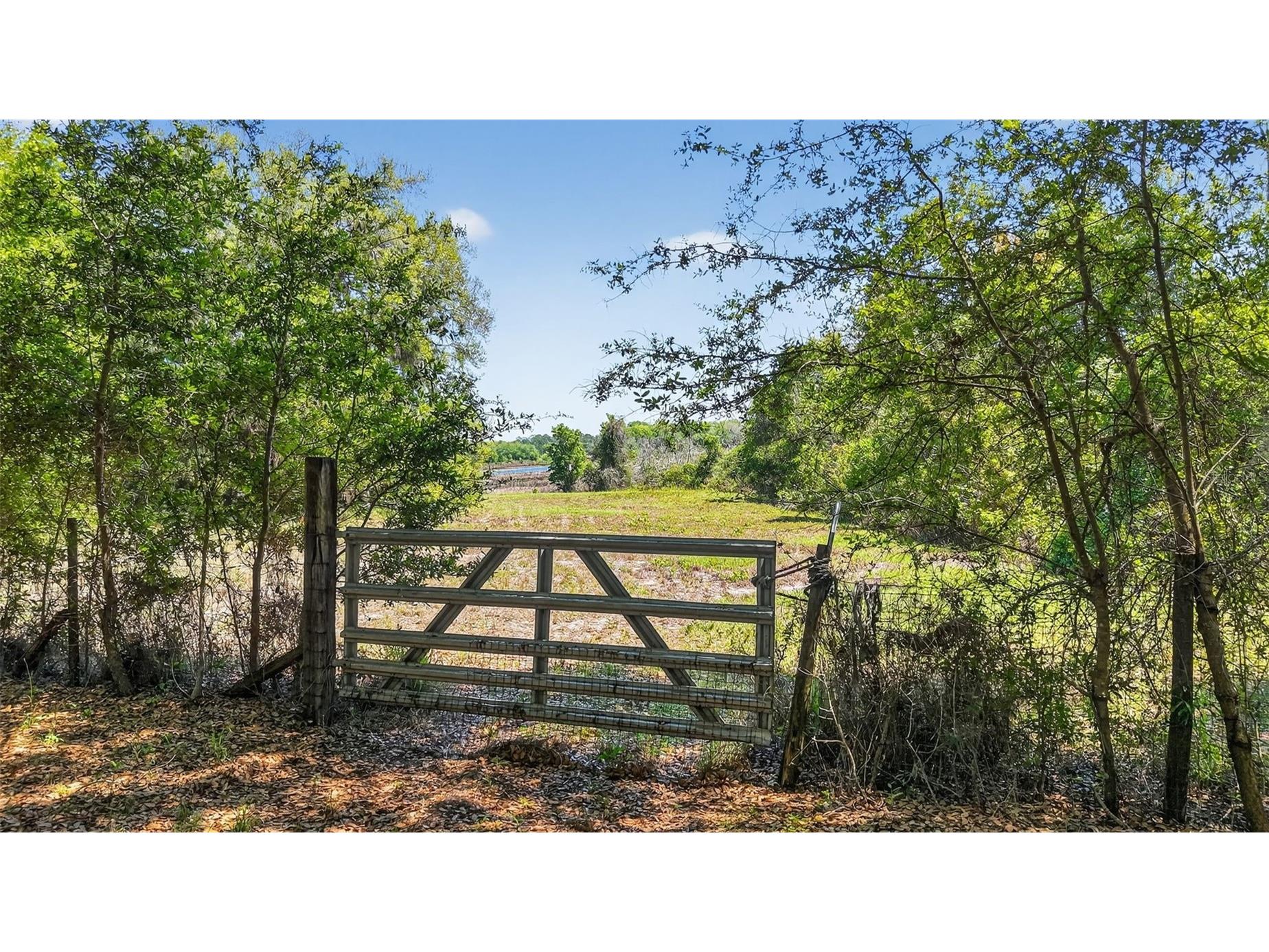 32510 Whitney Road Leesburg FL 34748 - LAKE ROBINSON G5109672 image13