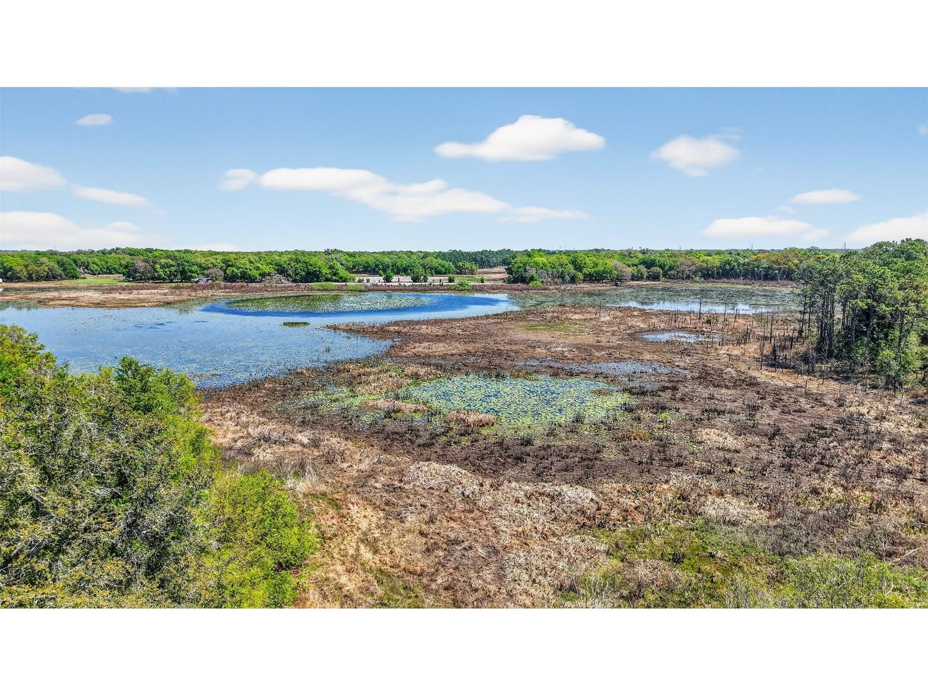 32510 Whitney Road Leesburg FL 34748 - LAKE ROBINSON G5109672 image9