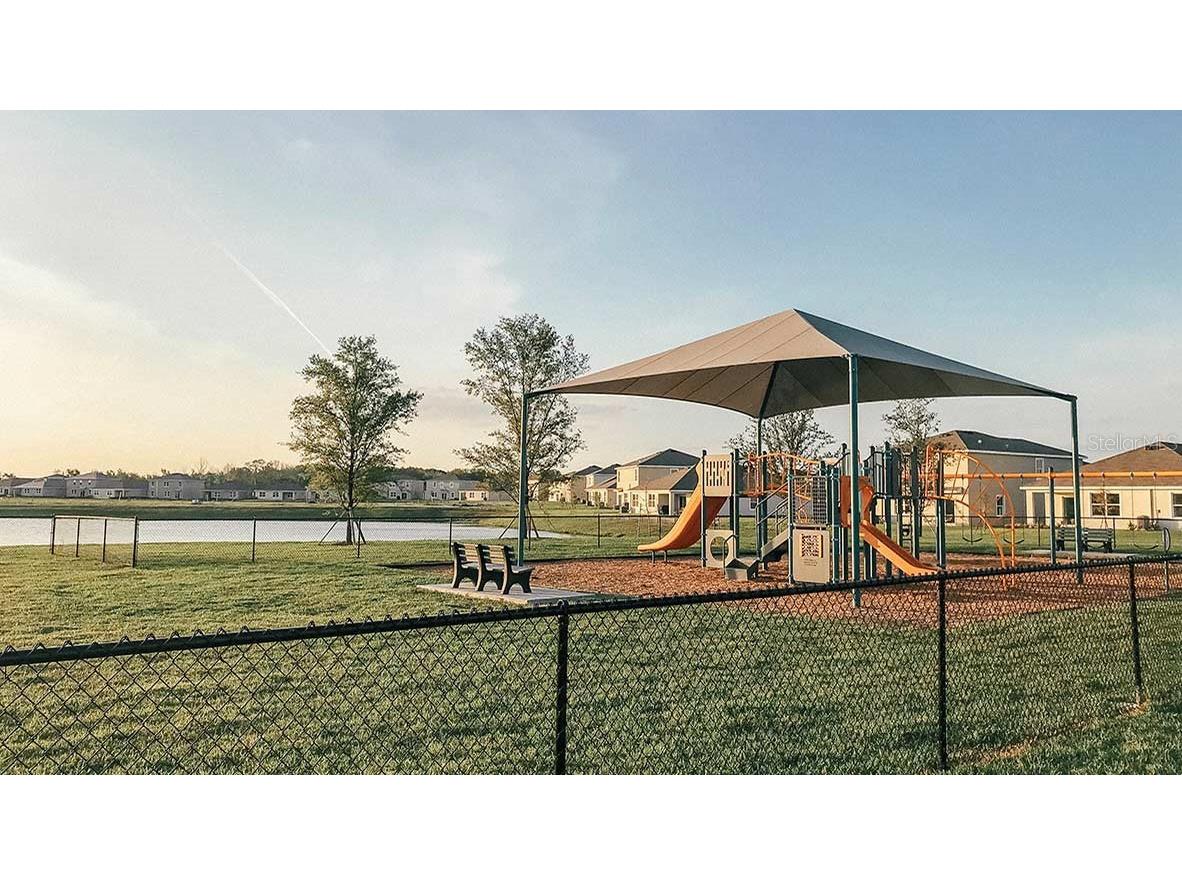 32511 Welling Blade Loop Wesley Chapel FL 33545 TB8453768 image39