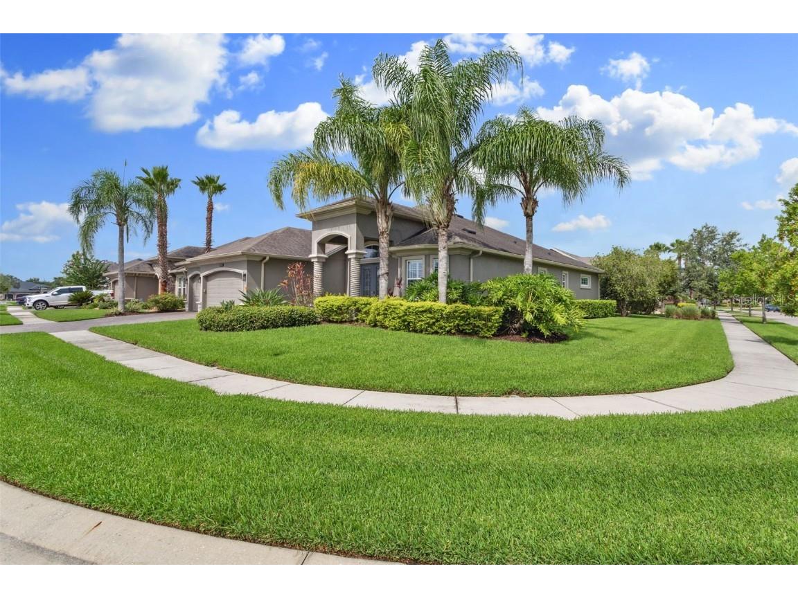 32512 Silvercreek Way Wesley Chapel FL 33545 T3461065 image1