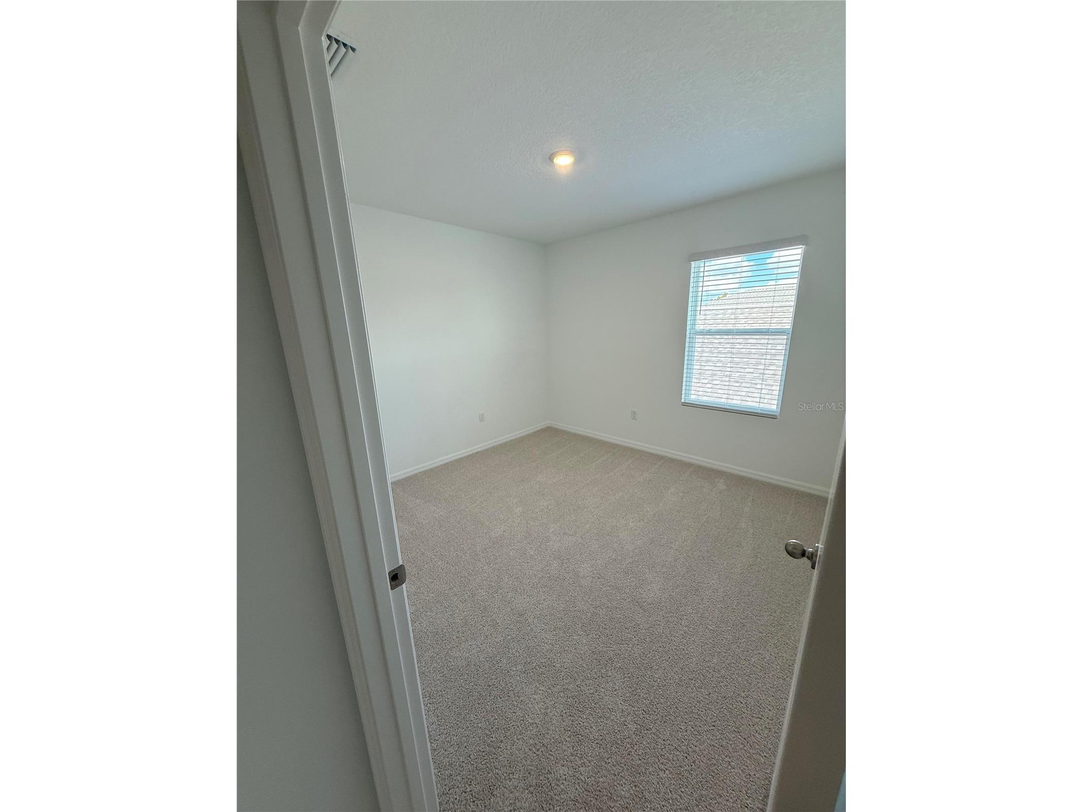 32514 Weathered Oak D Drive Wesley Chapel FL 33543 TB8446172 image18