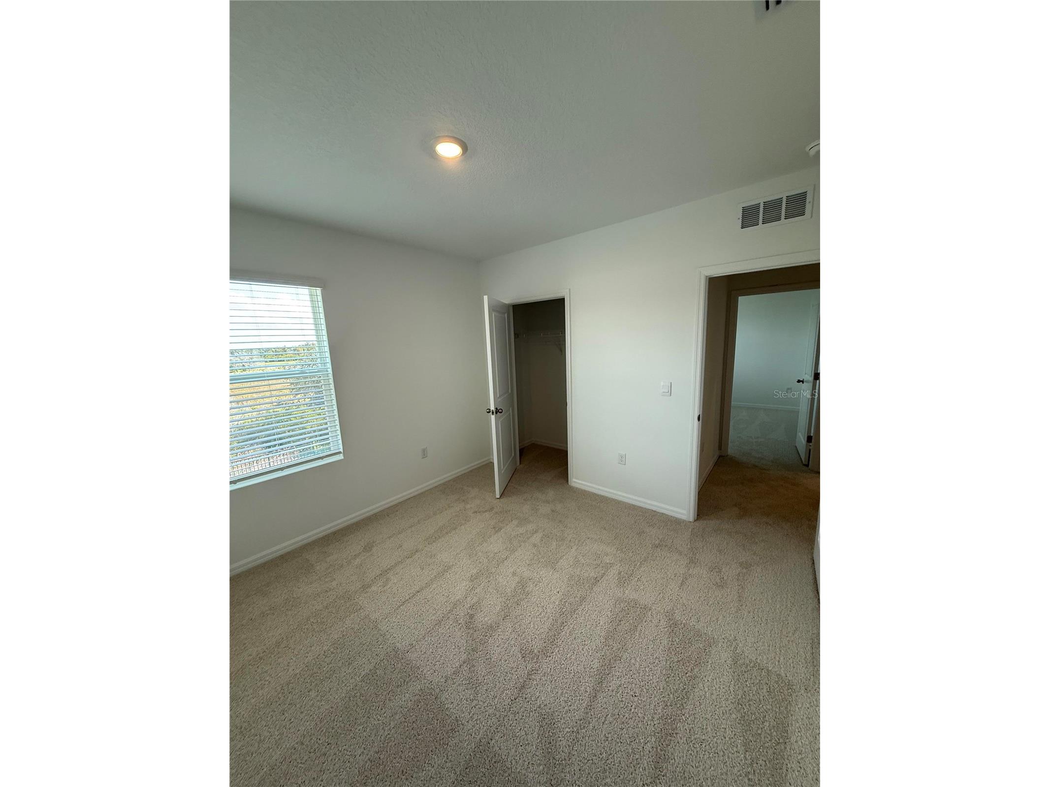 32514 Weathered Oak D Drive Wesley Chapel FL 33543 TB8446172 image19