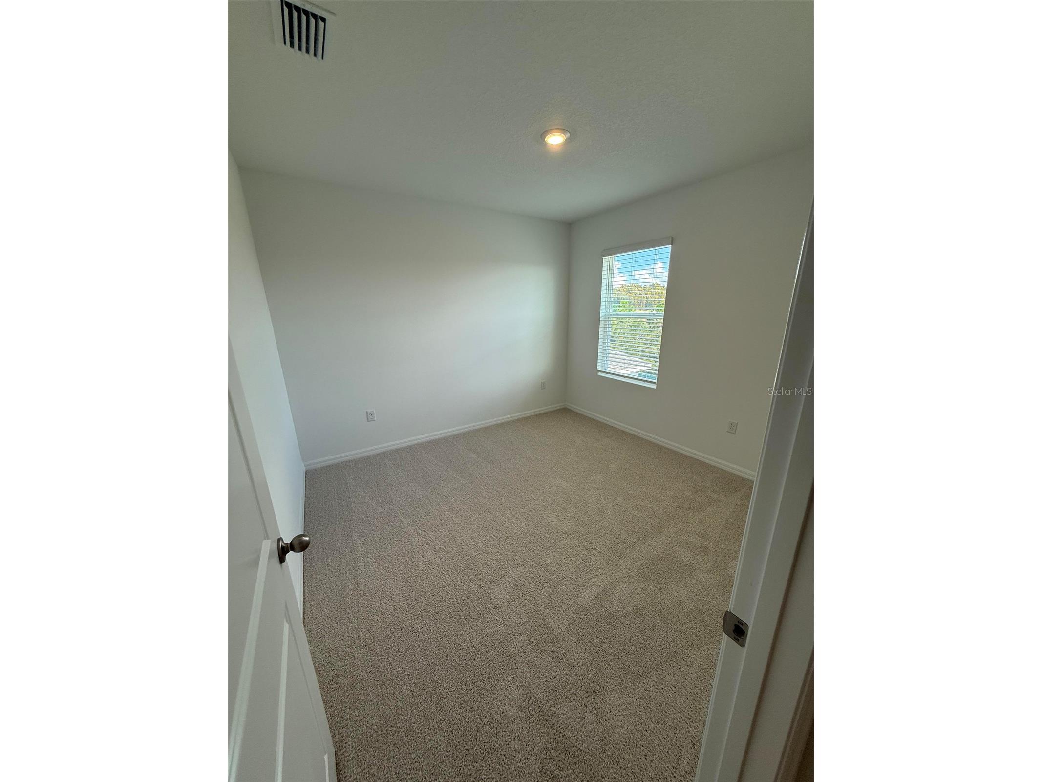 32514 Weathered Oak D Drive Wesley Chapel FL 33543 TB8446172 image21