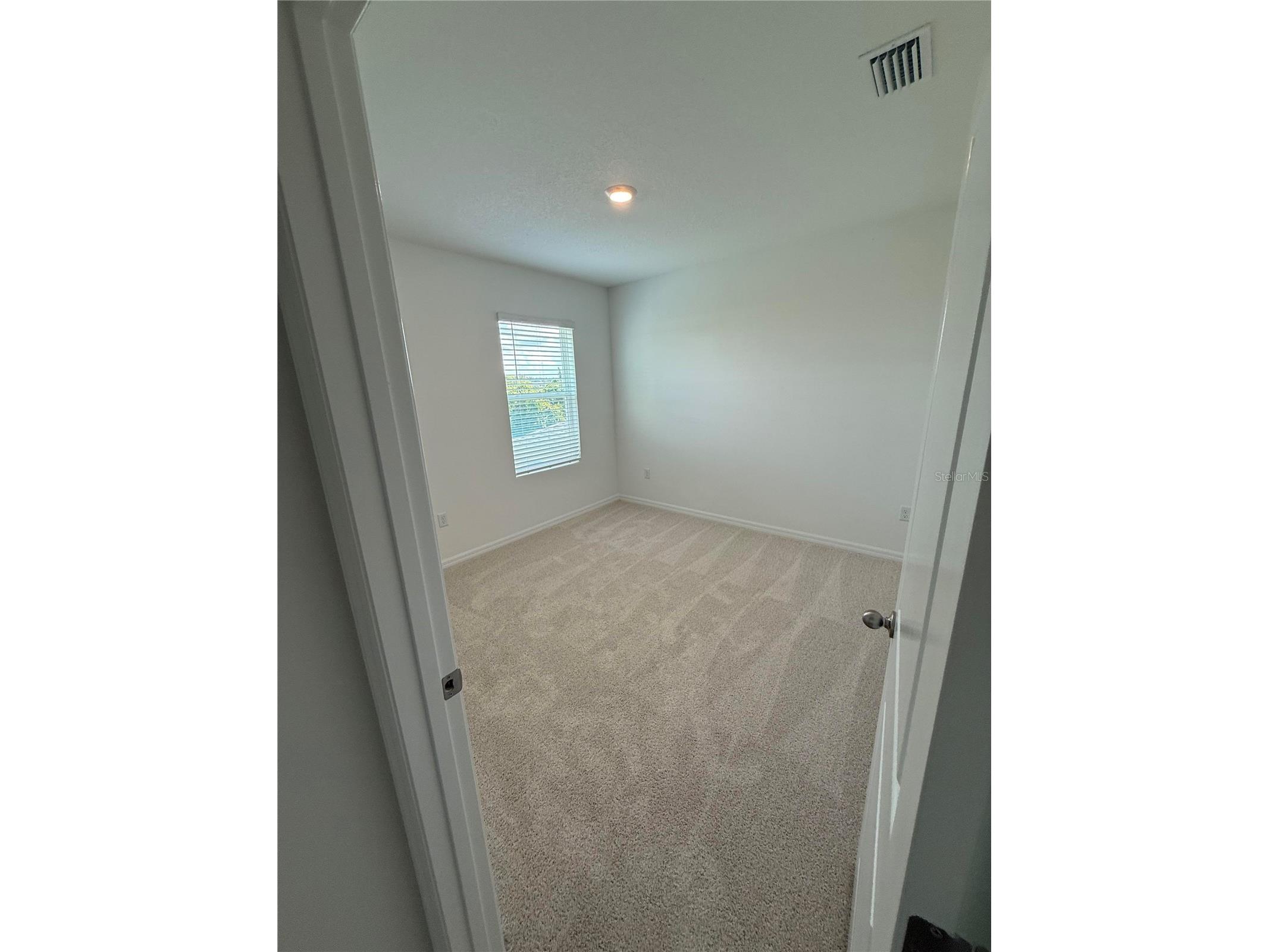 32514 Weathered Oak D Drive Wesley Chapel FL 33543 TB8446172 image22