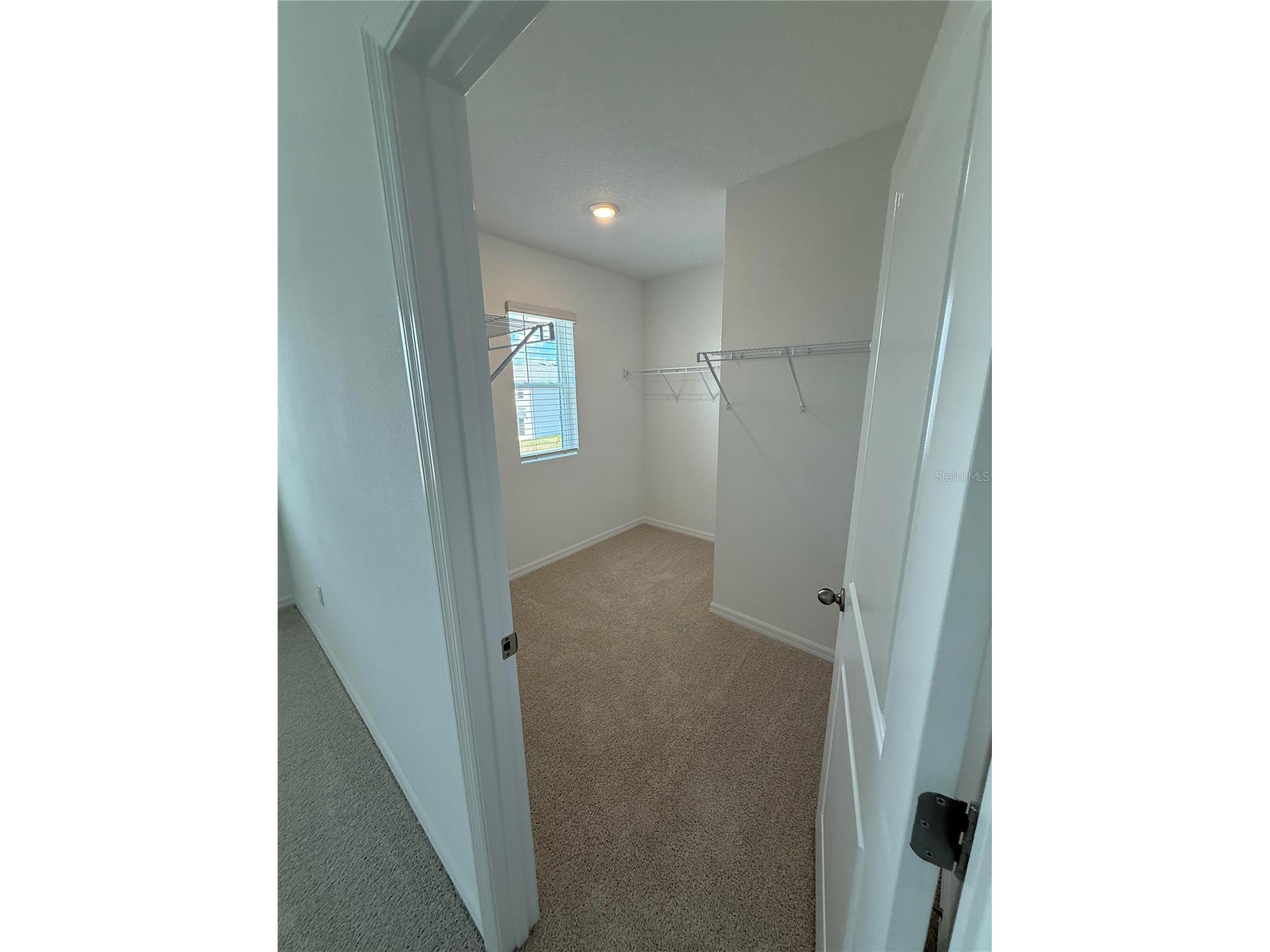 32514 Weathered Oak D Drive Wesley Chapel FL 33543 TB8446172 image24