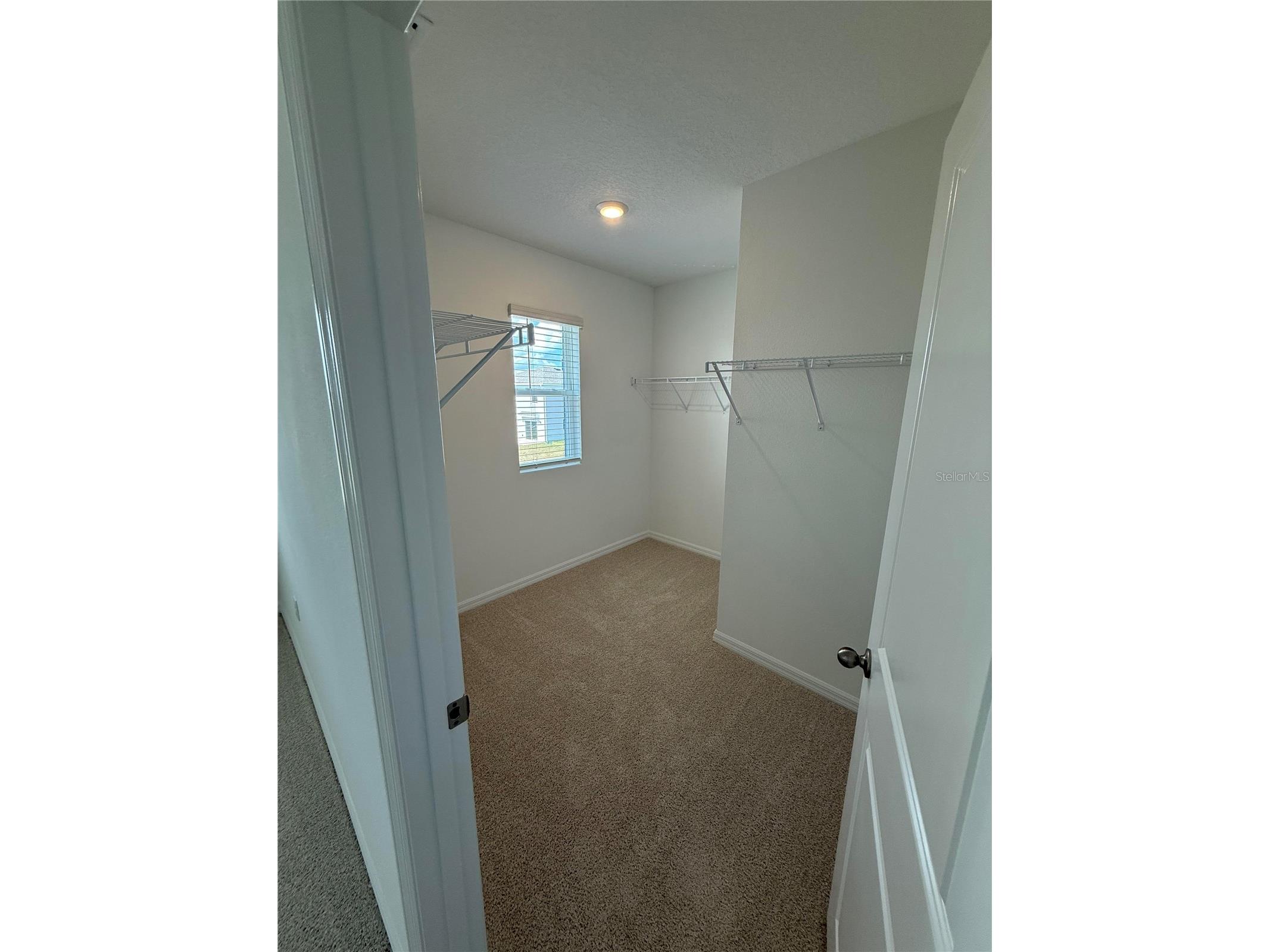 32514 Weathered Oak D Drive Wesley Chapel FL 33543 TB8446172 image27