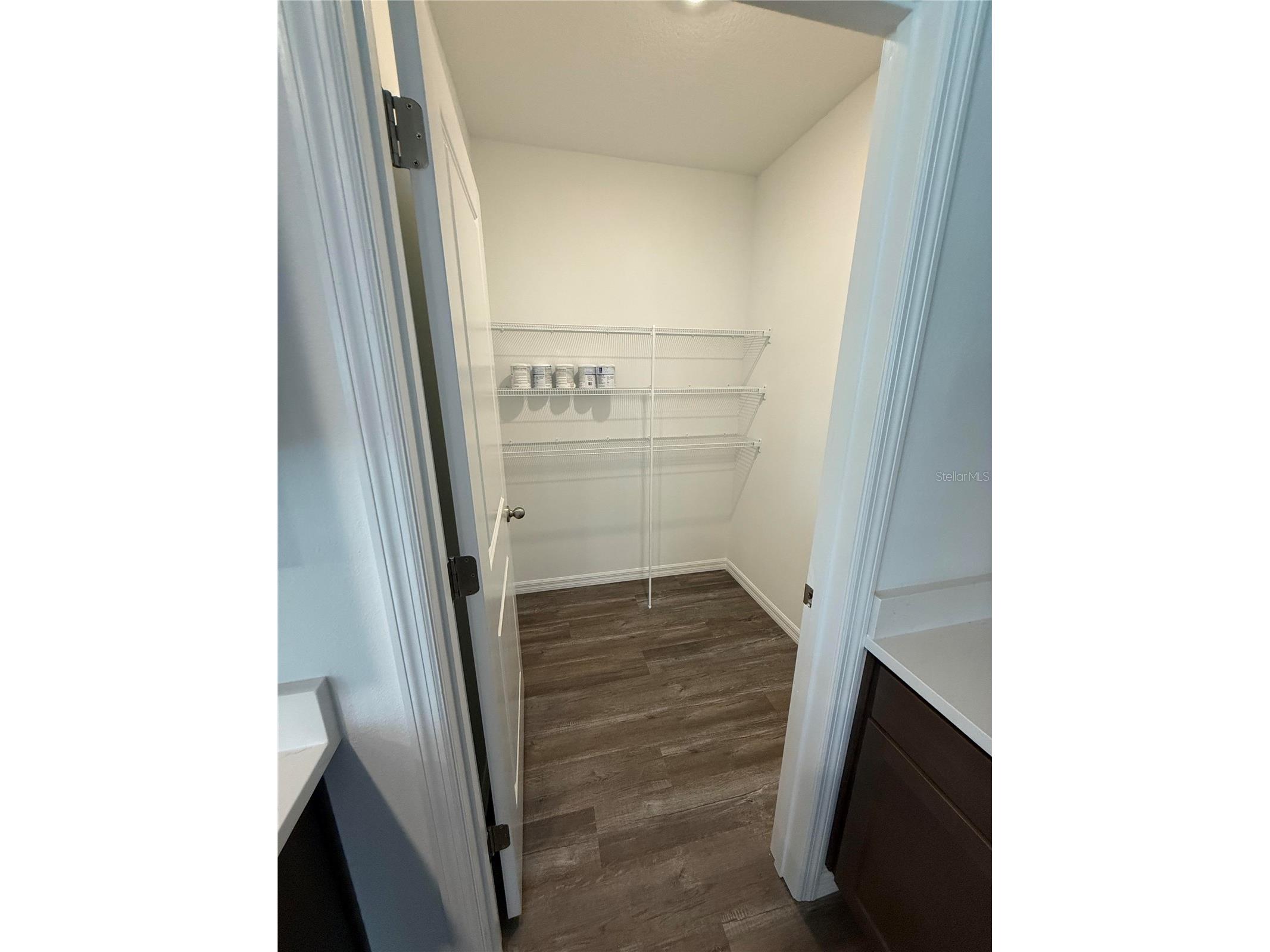 32514 Weathered Oak D Drive Wesley Chapel FL 33543 TB8446172 image29