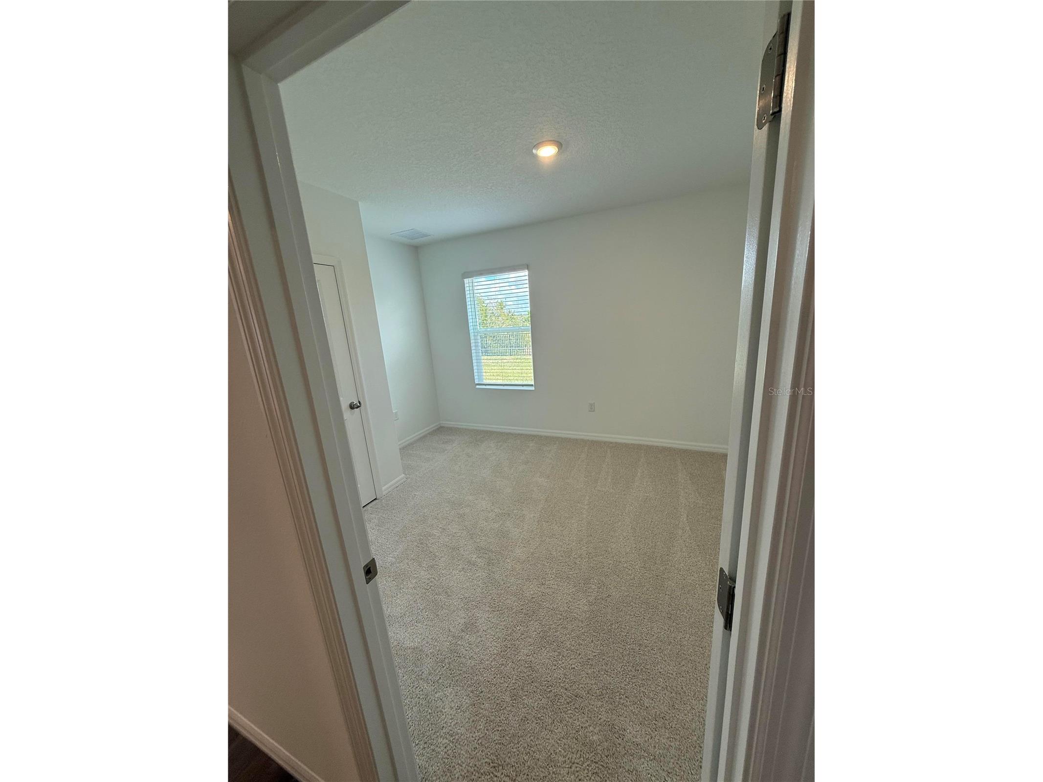 32514 Weathered Oak D Drive Wesley Chapel FL 33543 TB8446172 image30