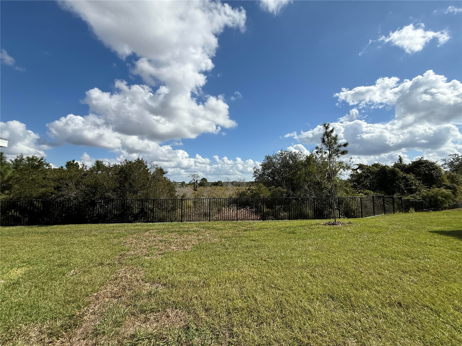 32514 Weathered Oak D Drive Wesley Chapel FL 33543 TB8446172 image32