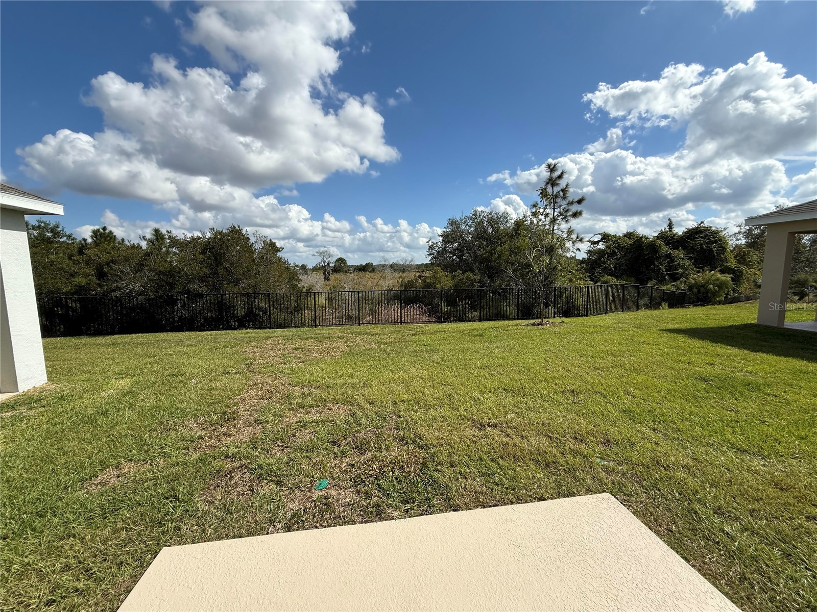 32514 Weathered Oak D Drive Wesley Chapel FL 33543 TB8446172 image33