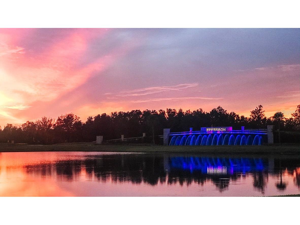 32515 Welling Blade Loop Wesley Chapel FL 33545 TB8453764 image35