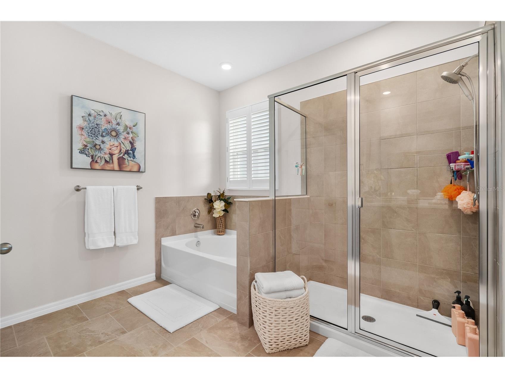 32516 Osprey Peak Way San Antonio FL 33576 TB8497001 image17