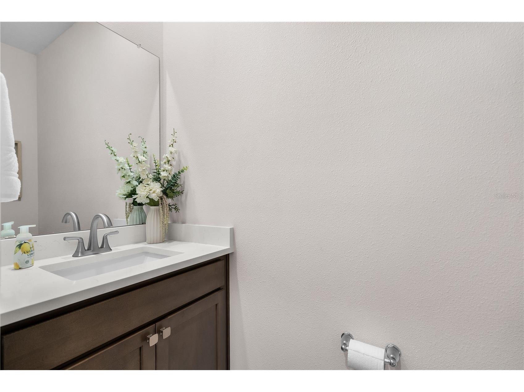 32516 Osprey Peak Way San Antonio FL 33576 TB8497001 image26