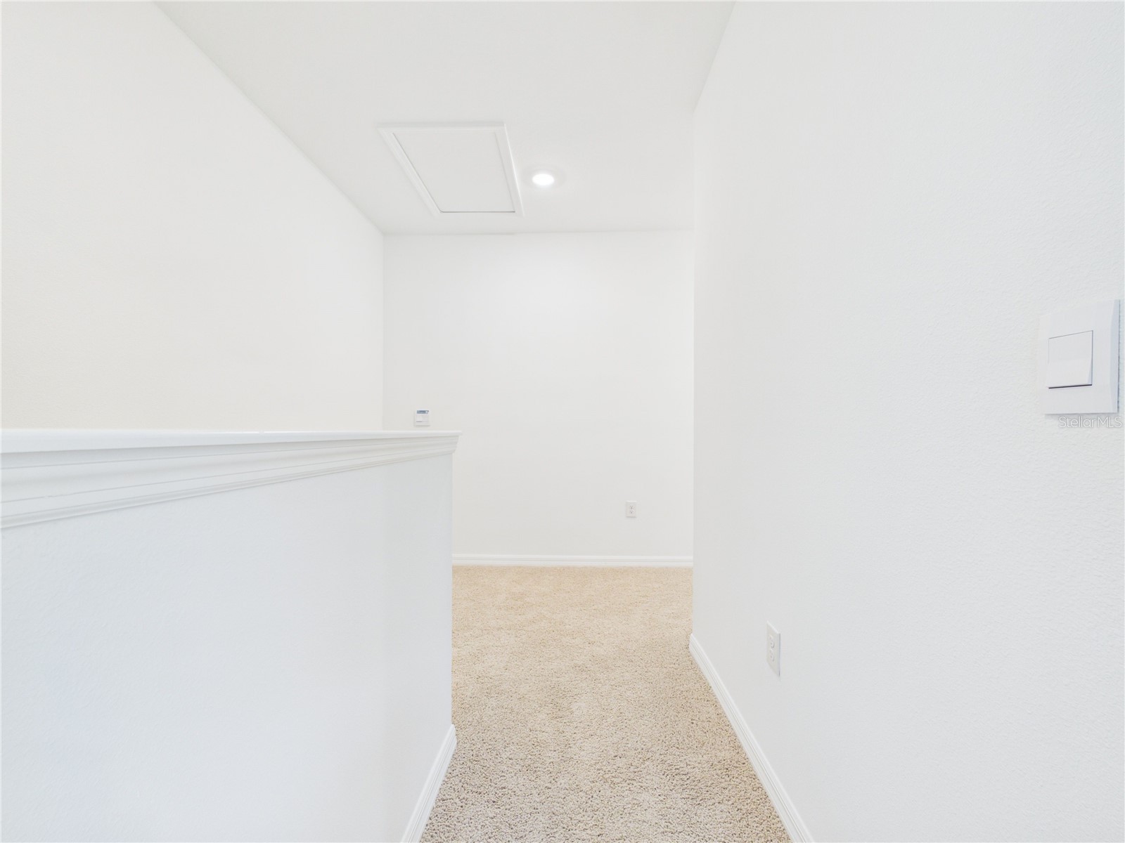 32519 Welling Blade Loop Wesley Chapel FL 33545 TB8517072 image25