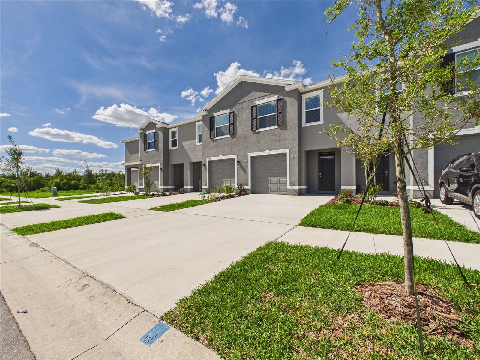 32519 Welling Blade Loop Wesley Chapel FL 33545 TB8517072 image3