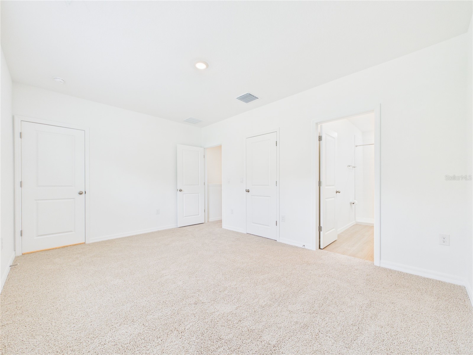 32519 Welling Blade Loop Wesley Chapel FL 33545 TB8517072 image36