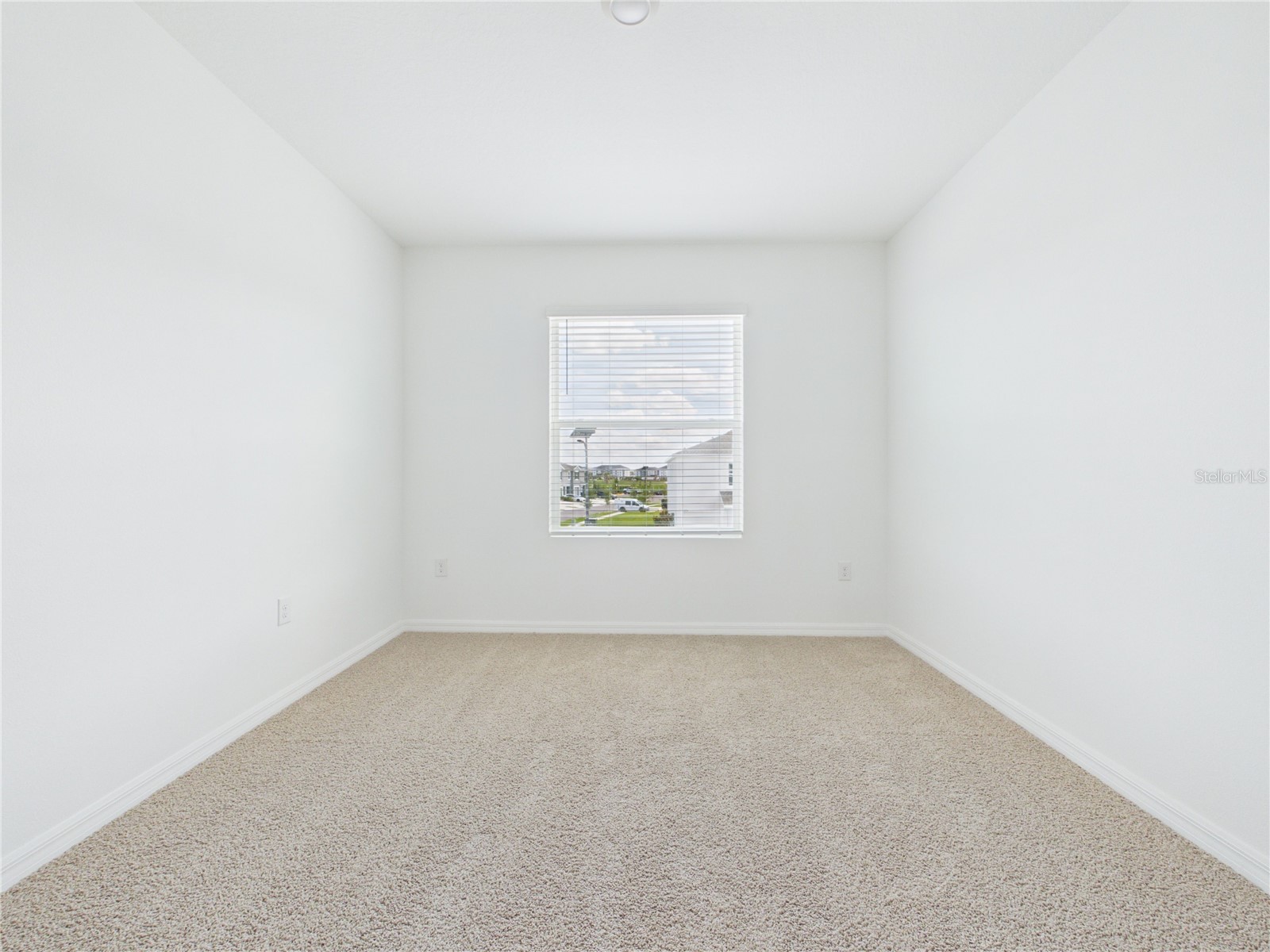 32519 Welling Blade Loop Wesley Chapel FL 33545 TB8517072 image40