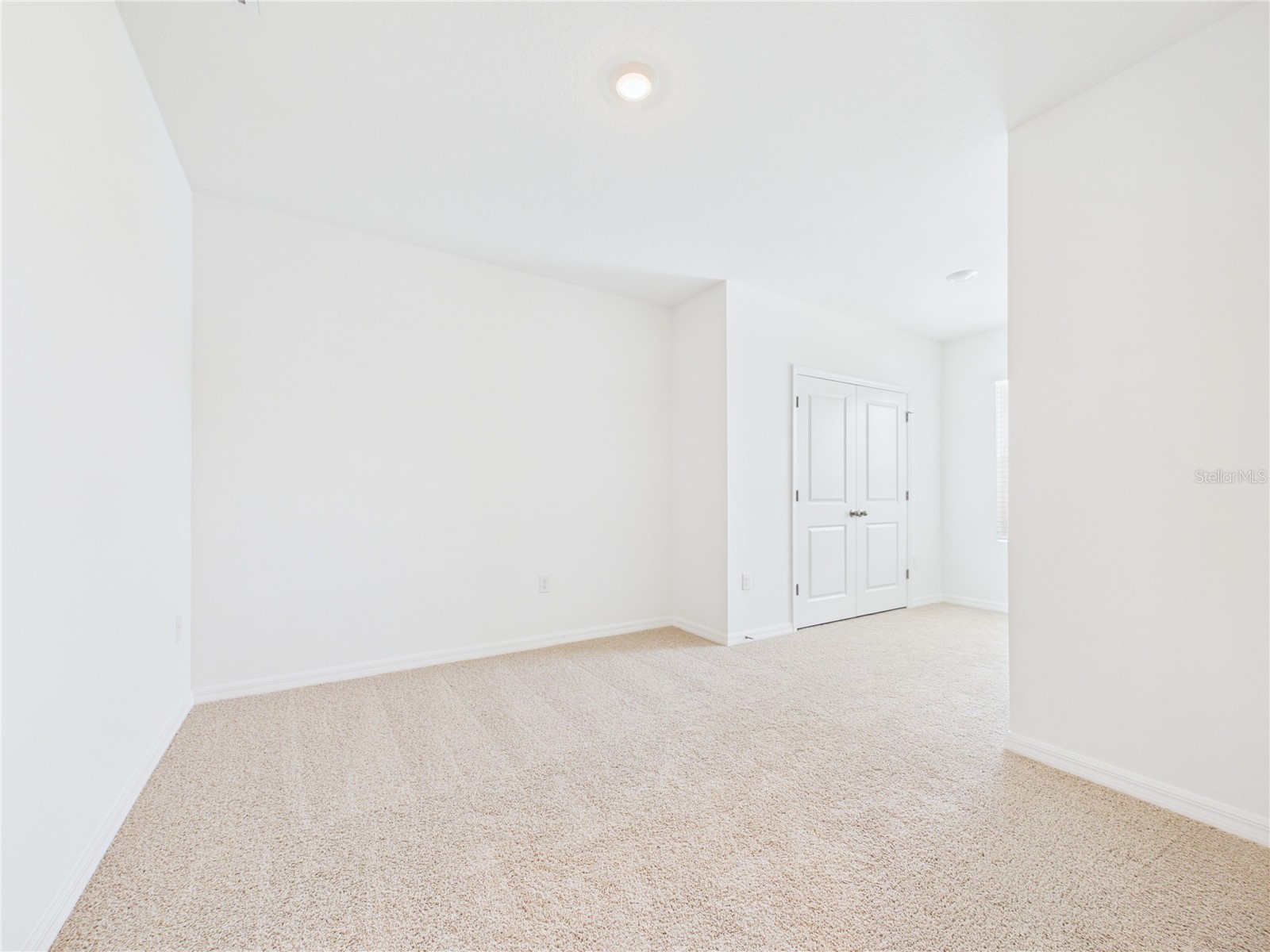 32519 Welling Blade Loop Wesley Chapel FL 33545 TB8517072 image44