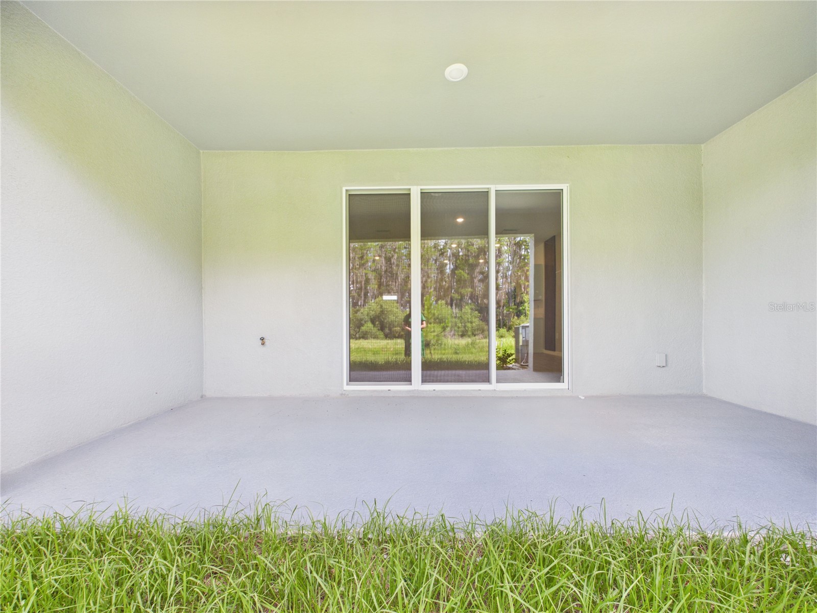 32519 Welling Blade Loop Wesley Chapel FL 33545 TB8517072 image49