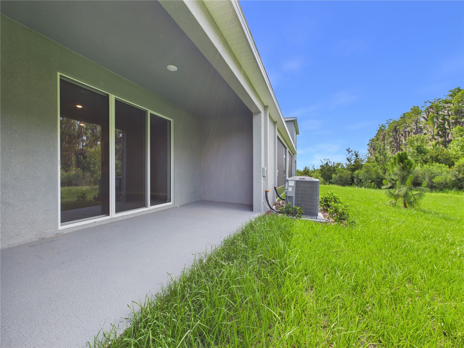 32519 Welling Blade Loop Wesley Chapel FL 33545 TB8517072 image50
