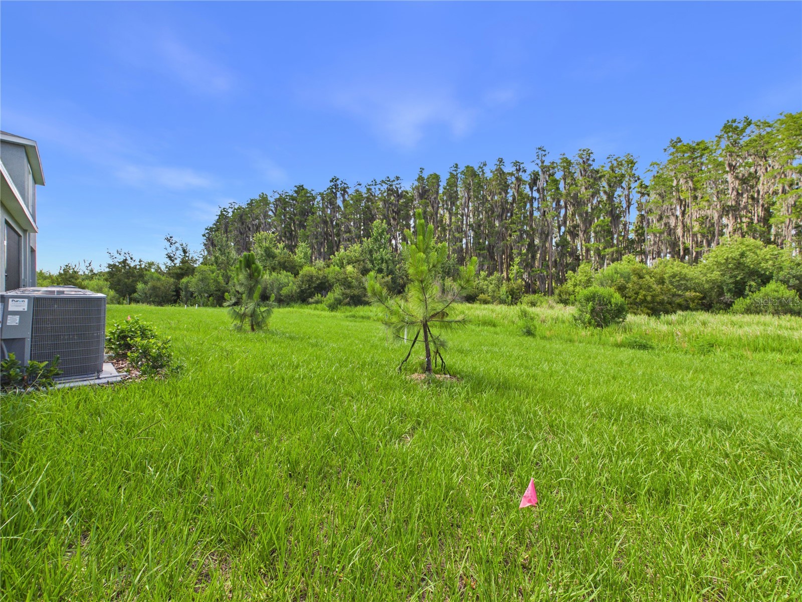 32519 Welling Blade Loop Wesley Chapel FL 33545 TB8517072 image51