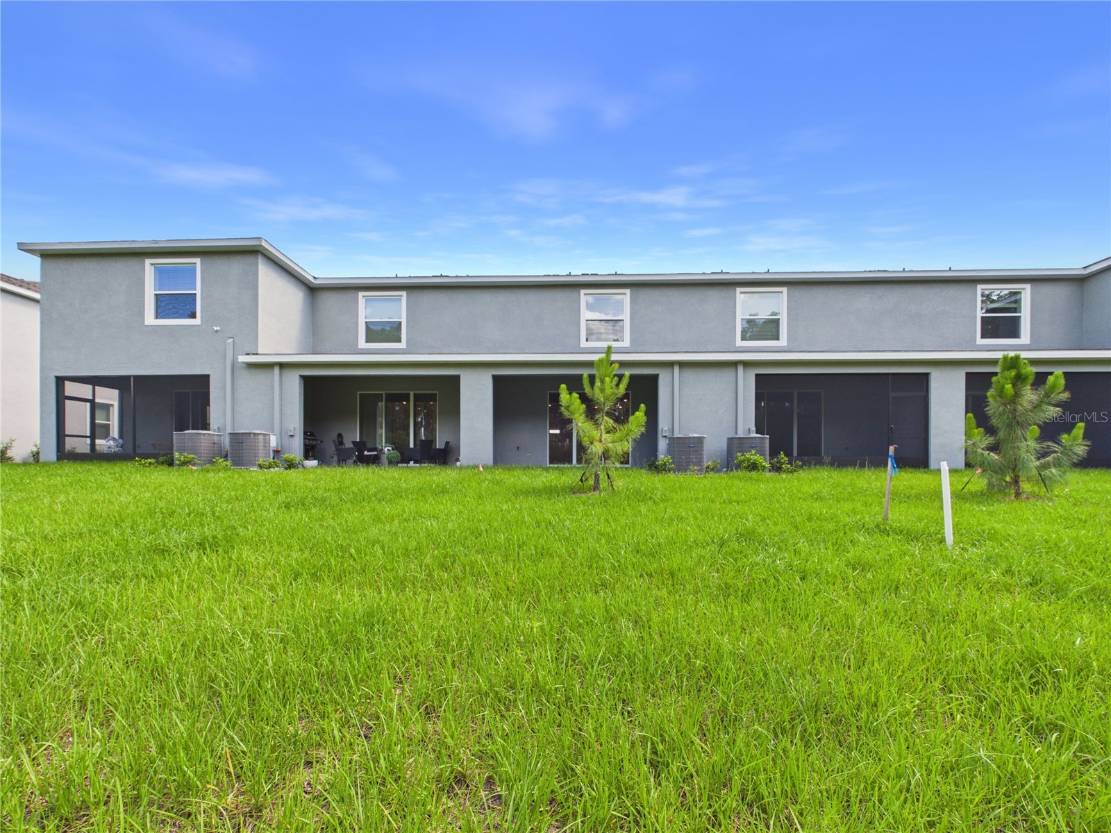 32519 Welling Blade Loop Wesley Chapel FL 33545 TB8517072 image53
