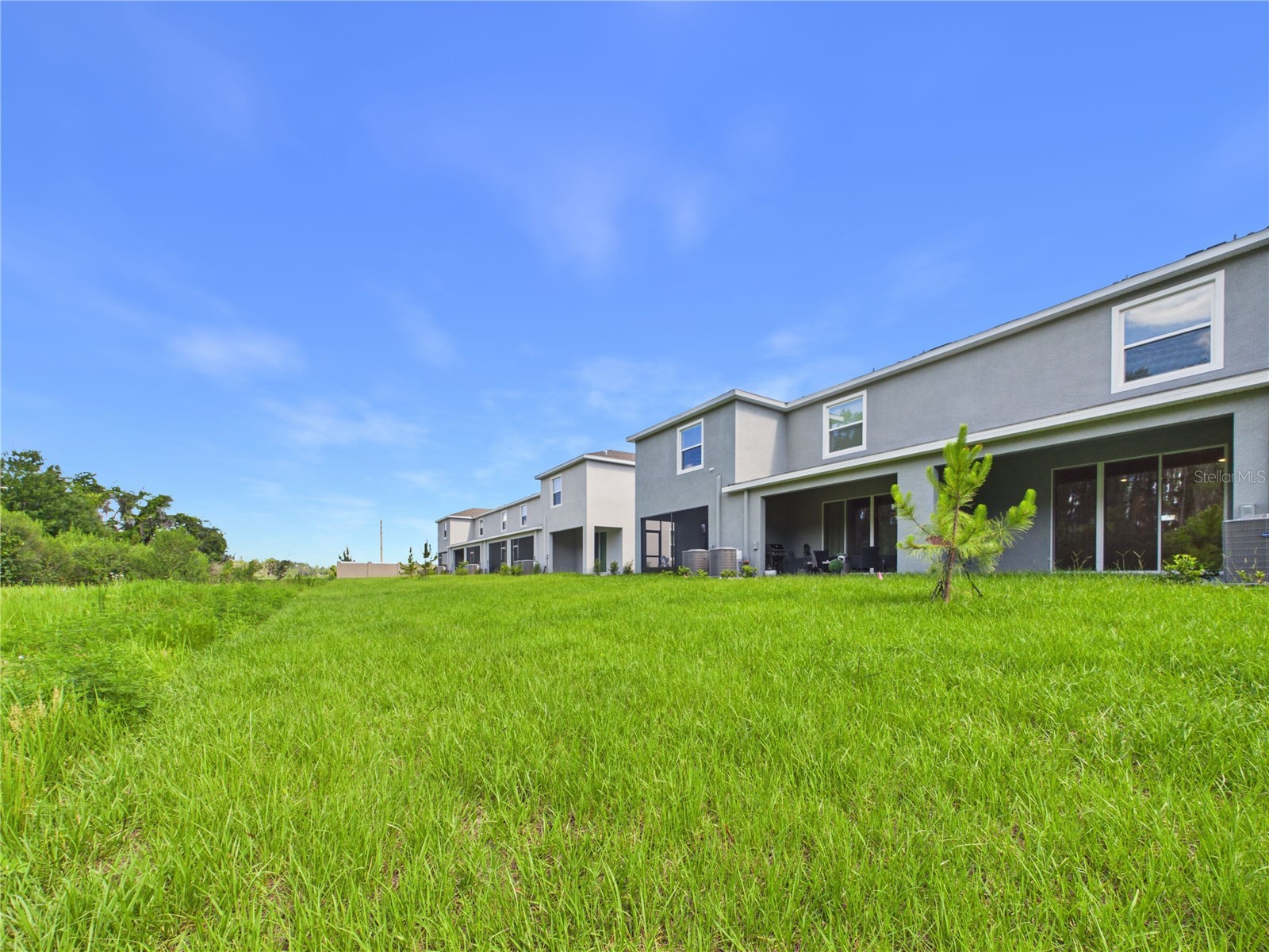 32519 Welling Blade Loop Wesley Chapel FL 33545 TB8517072 image54