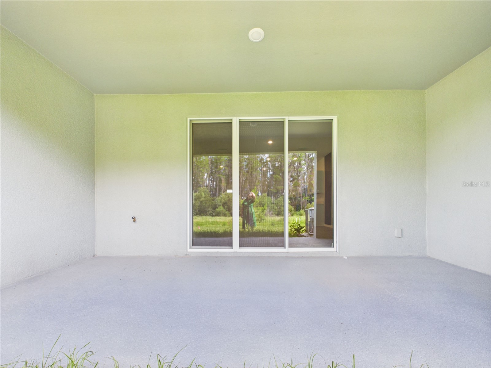 32519 Welling Blade Loop Wesley Chapel FL 33545 TB8517072 image56