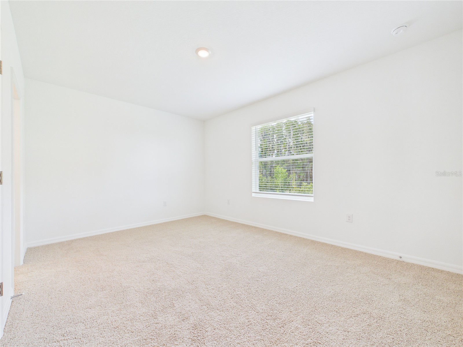 32519 Welling Blade Loop Wesley Chapel FL 33545 TB8517072 image9