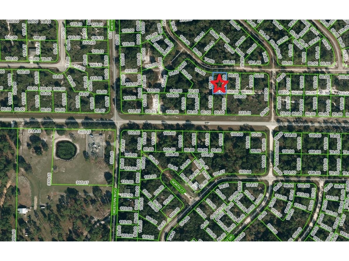 3252 Gossamer Avenue Lake Placid FL 33852 C7474498 image1