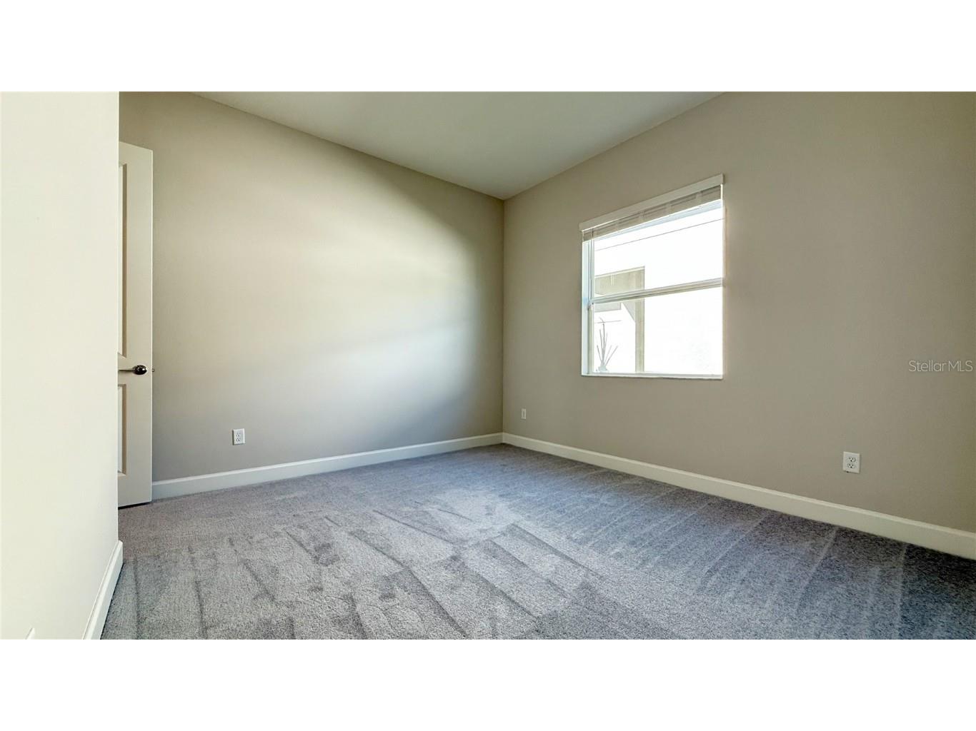 32523 Neroli Street Wesley Chapel FL 33543 TB8384851 image23