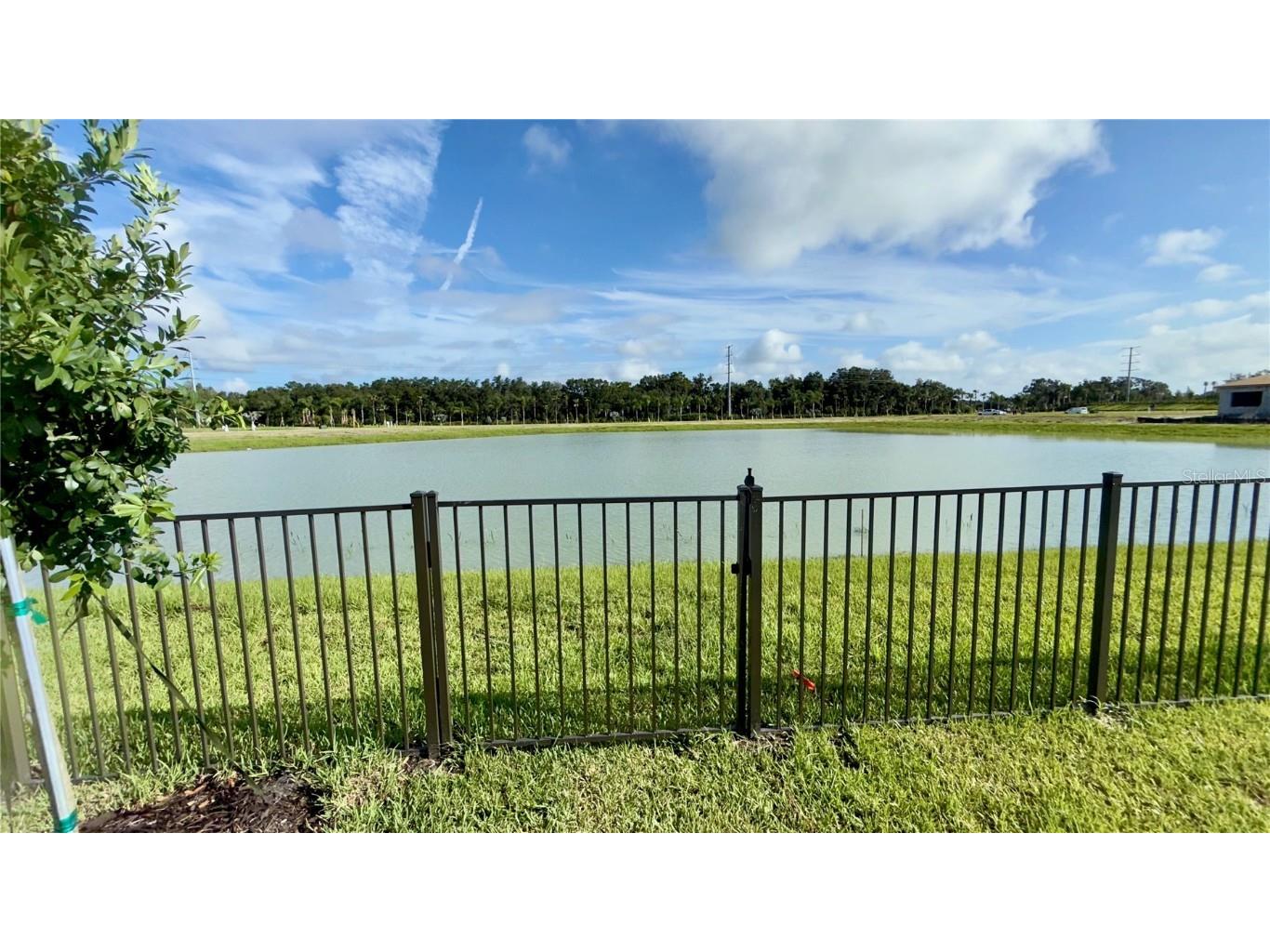 32523 Neroli Street Wesley Chapel FL 33543 TB8384851 image37